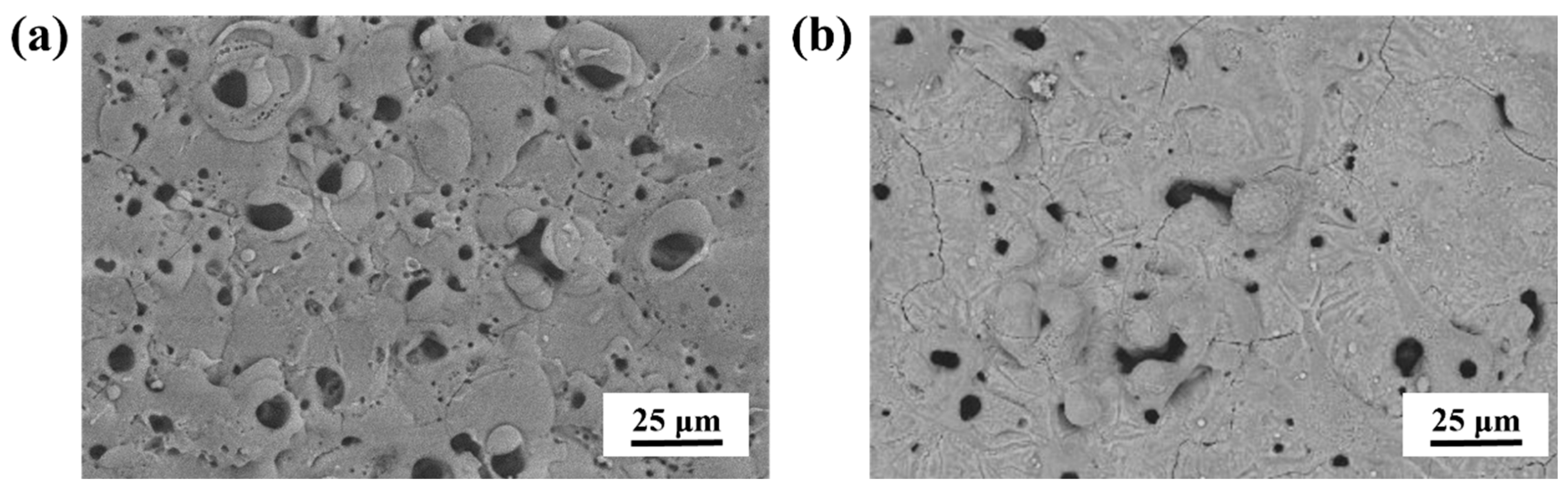 Coatings 15 00274 g001