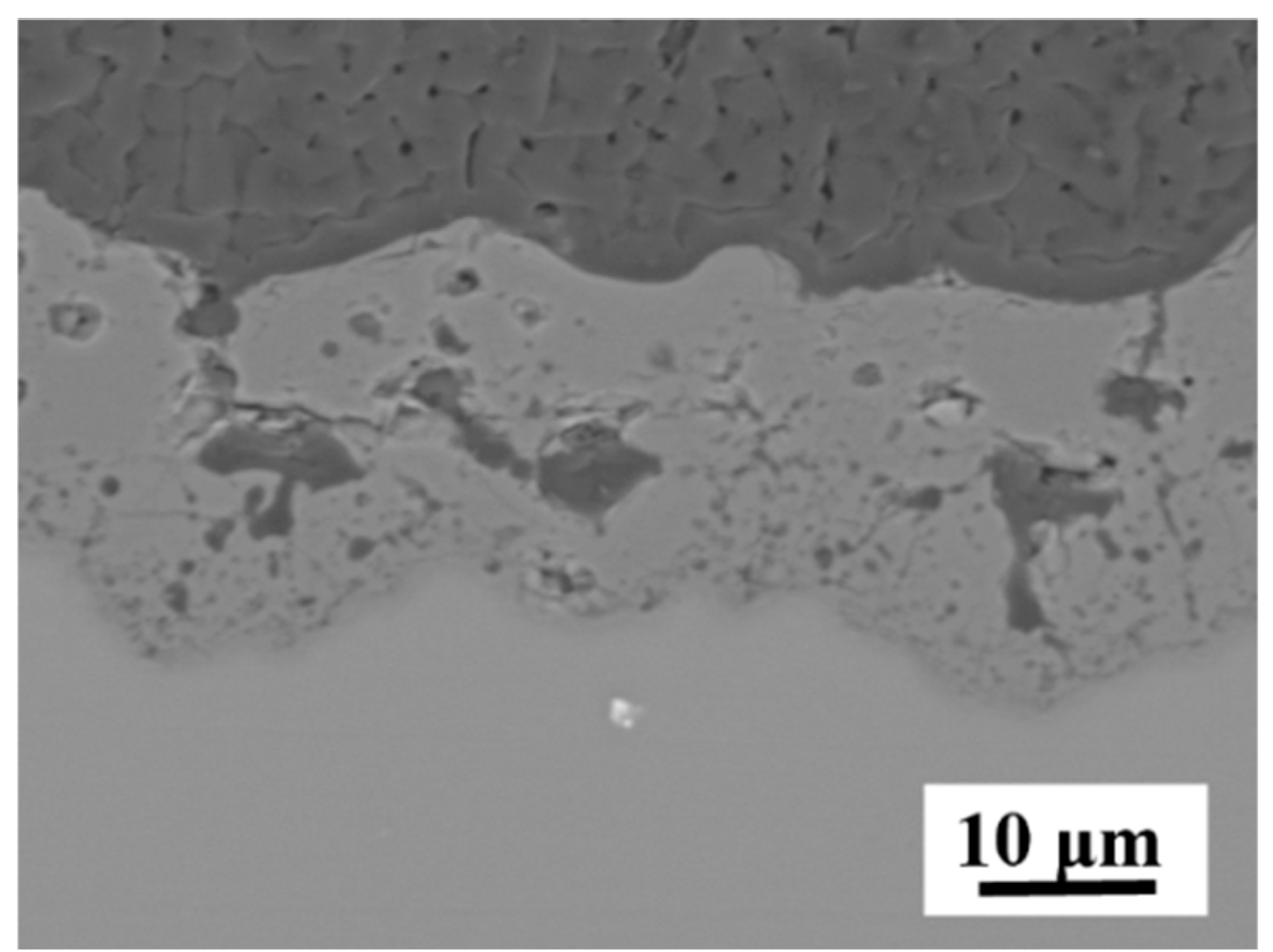 Coatings 15 00274 g002a