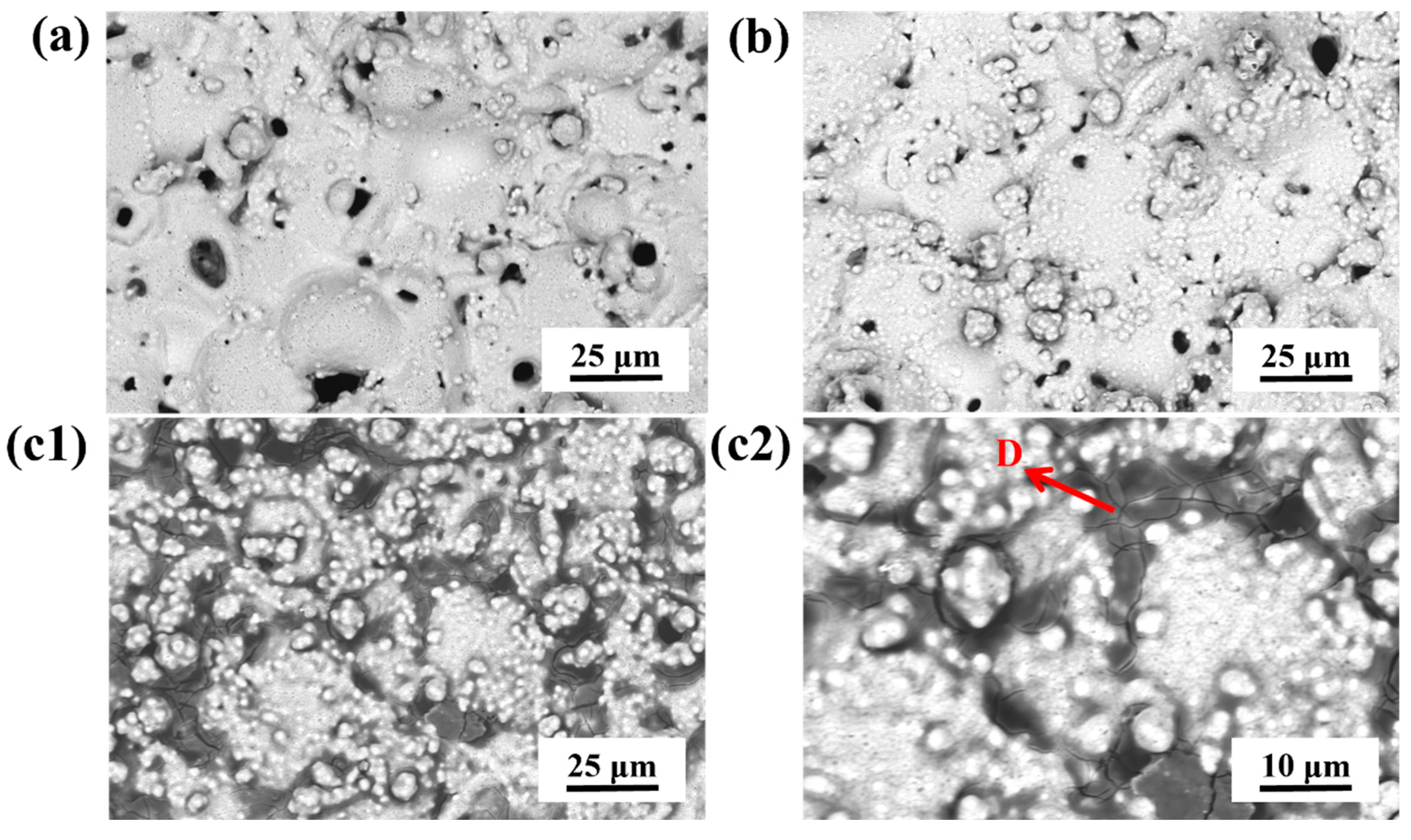 Coatings 15 00274 g003
