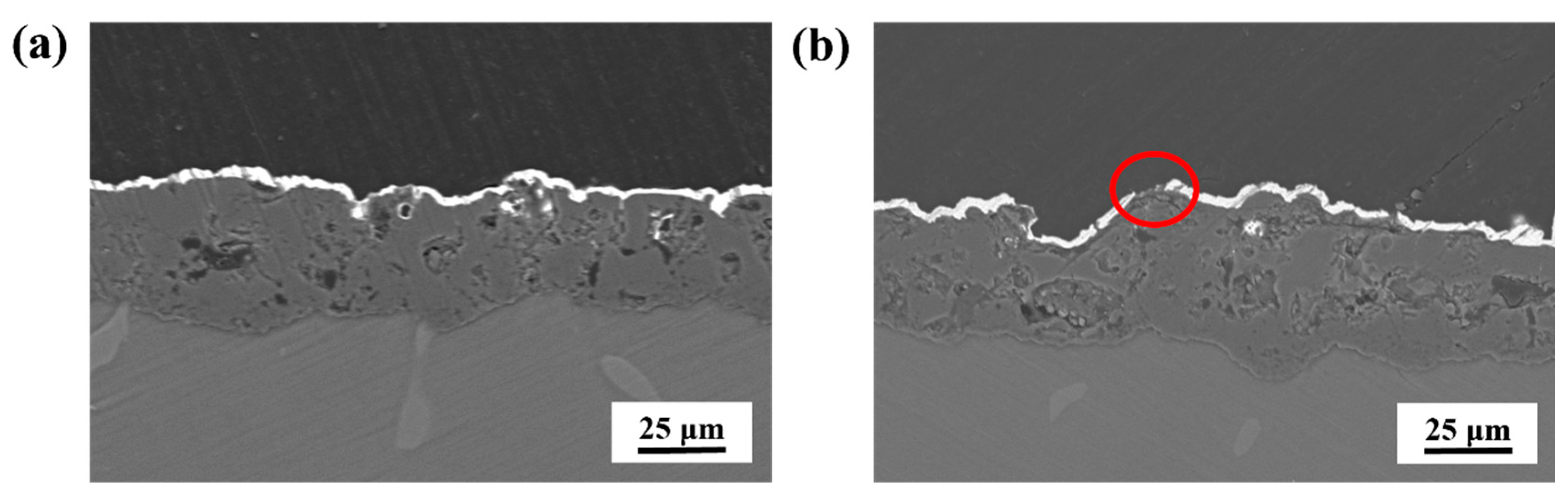 Coatings 15 00274 g004