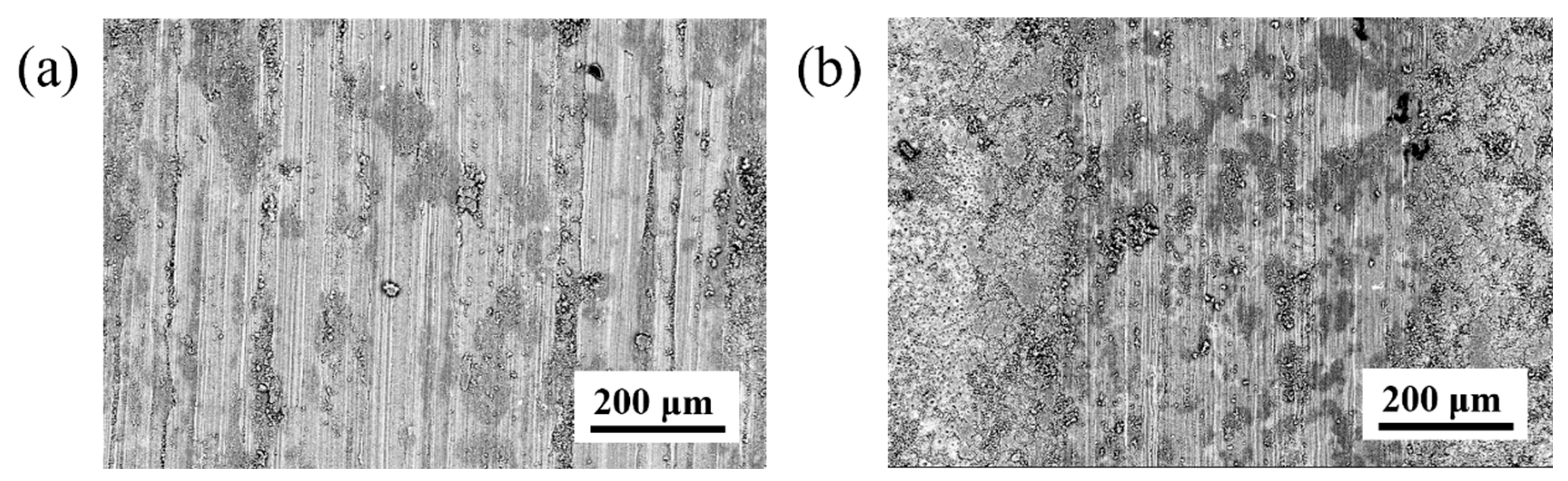 Coatings 15 00274 g011
