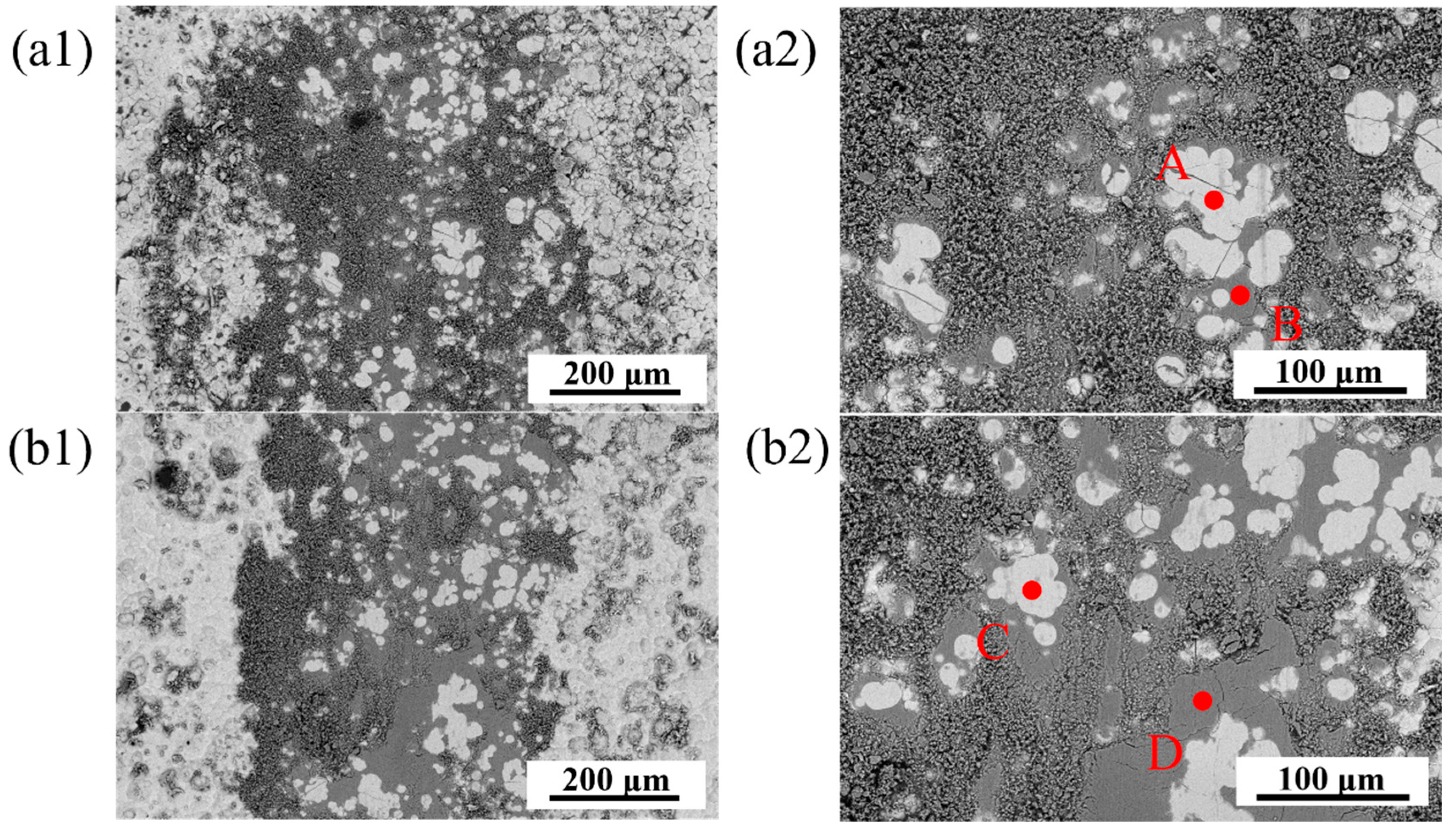 Coatings 15 00274 g013