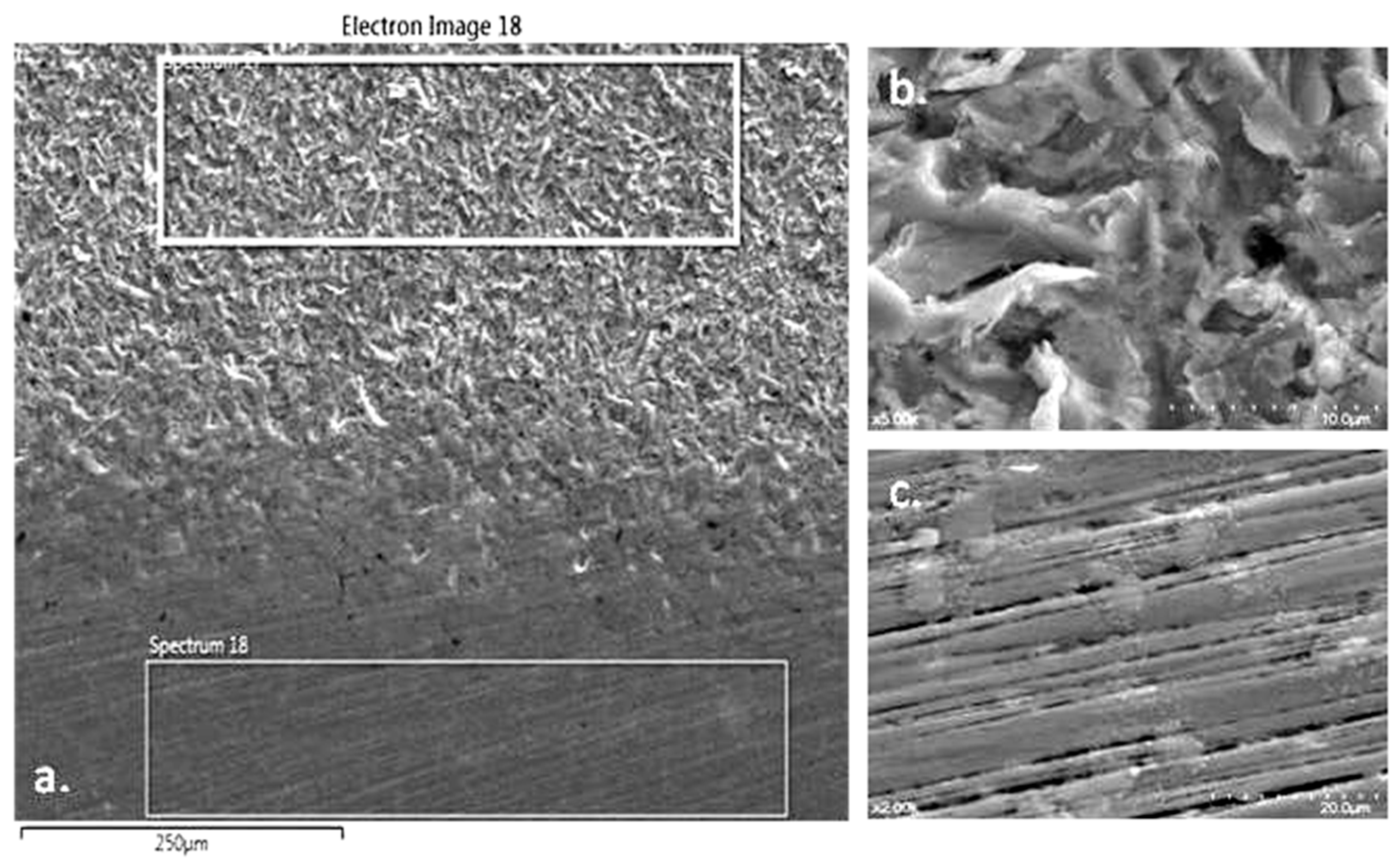 Coatings 15 00279 g006