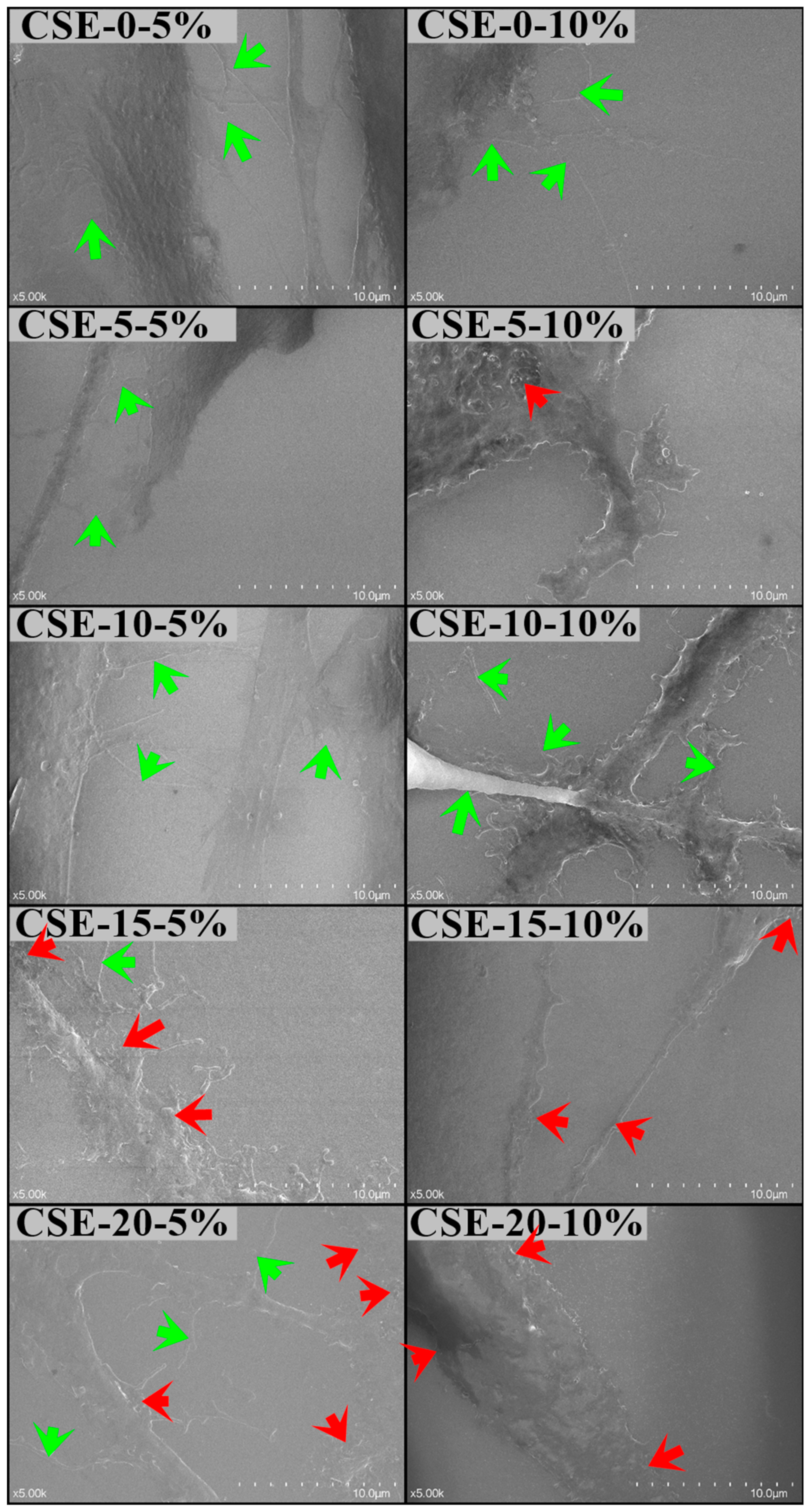 Coatings 15 00279 g009