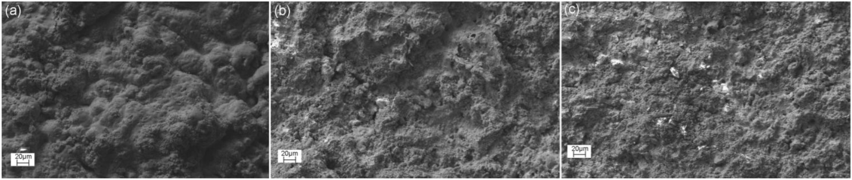 Coatings 15 00282 g001