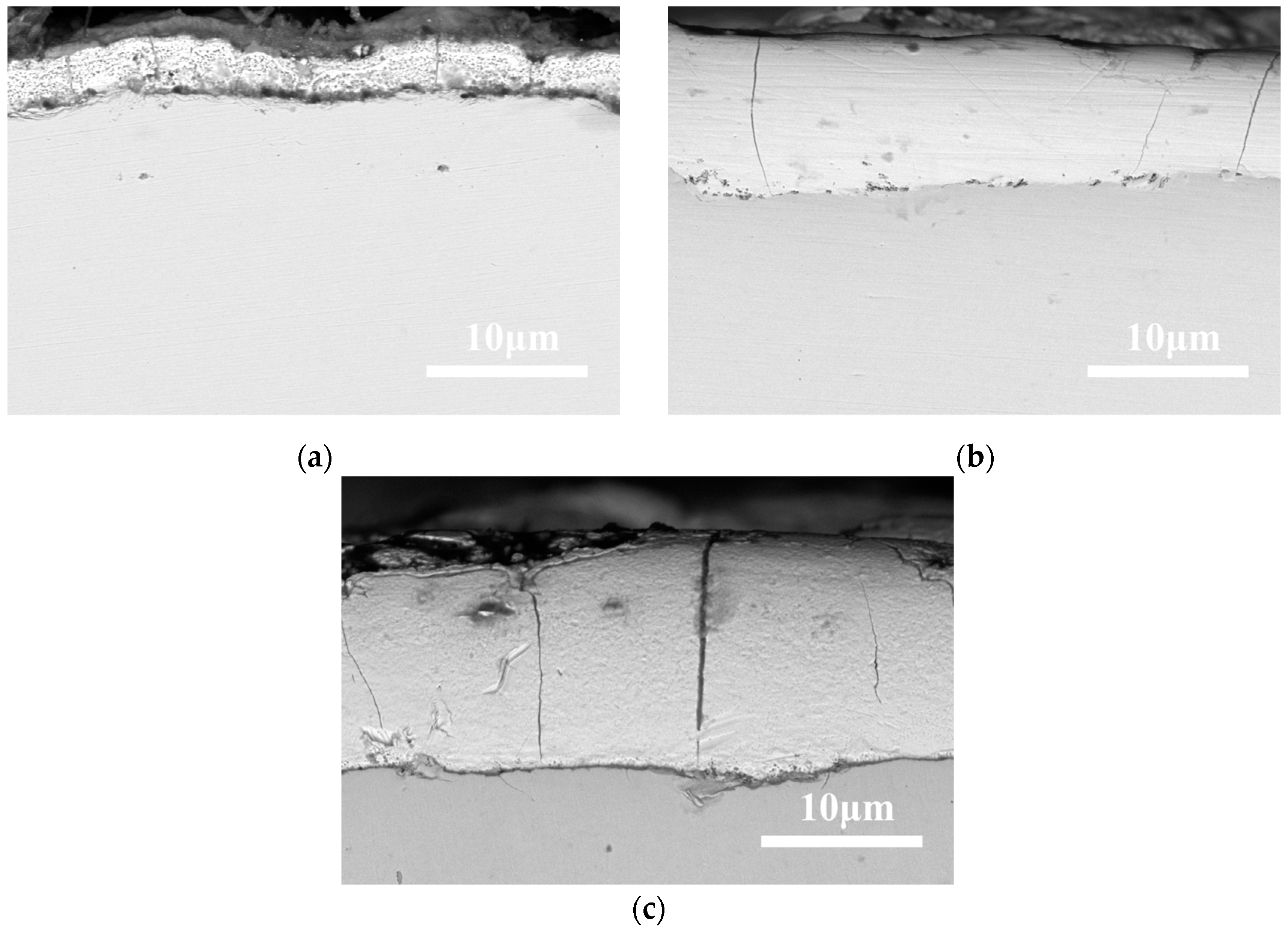 Coatings 15 00290 g002