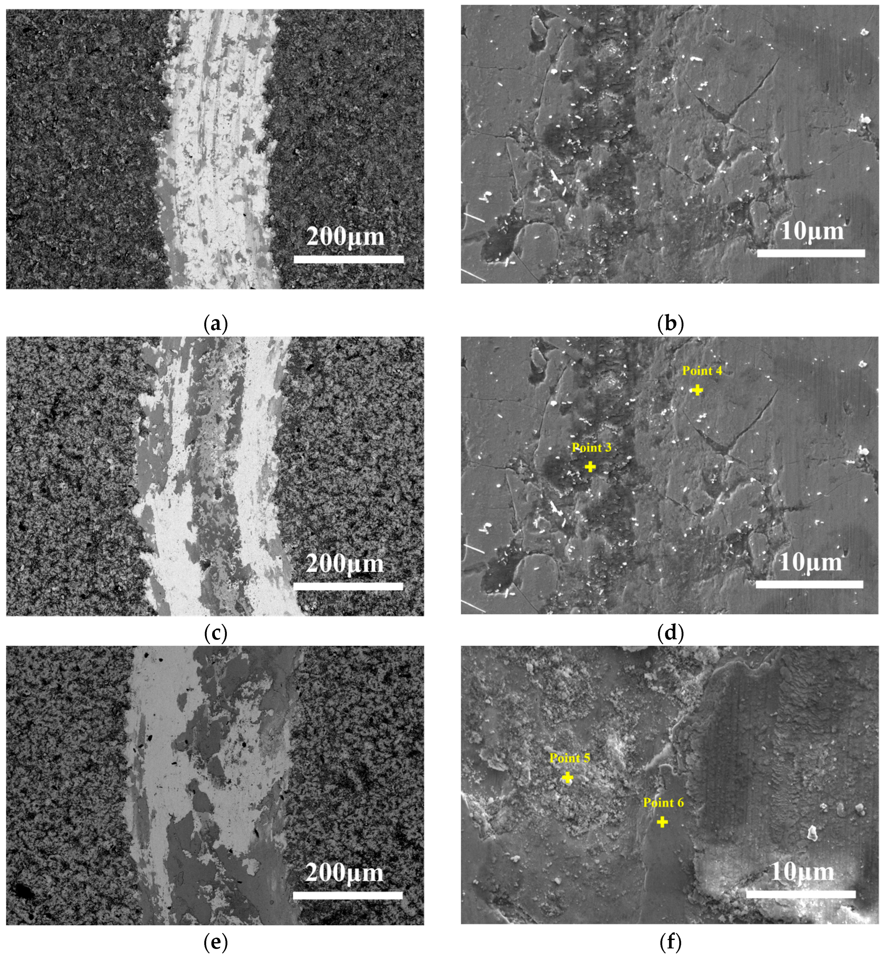 Coatings 15 00290 g008
