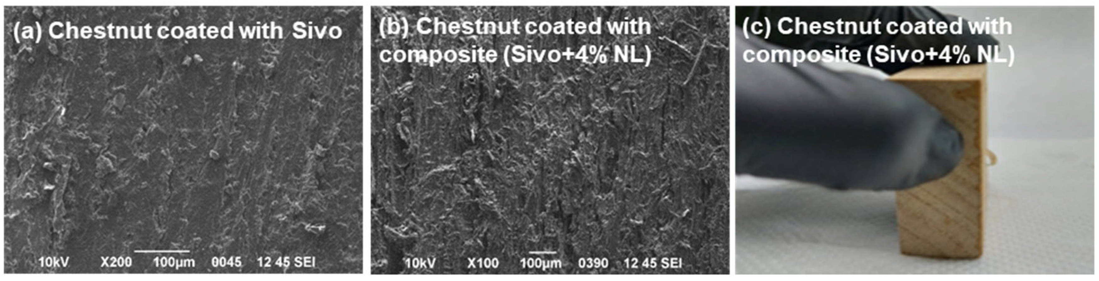 Coatings 15 00293 g003