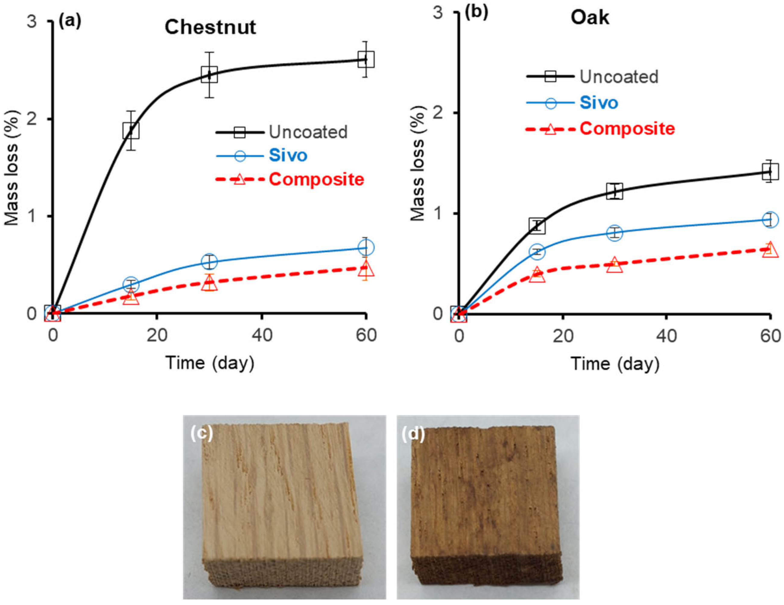 Coatings 15 00293 g006