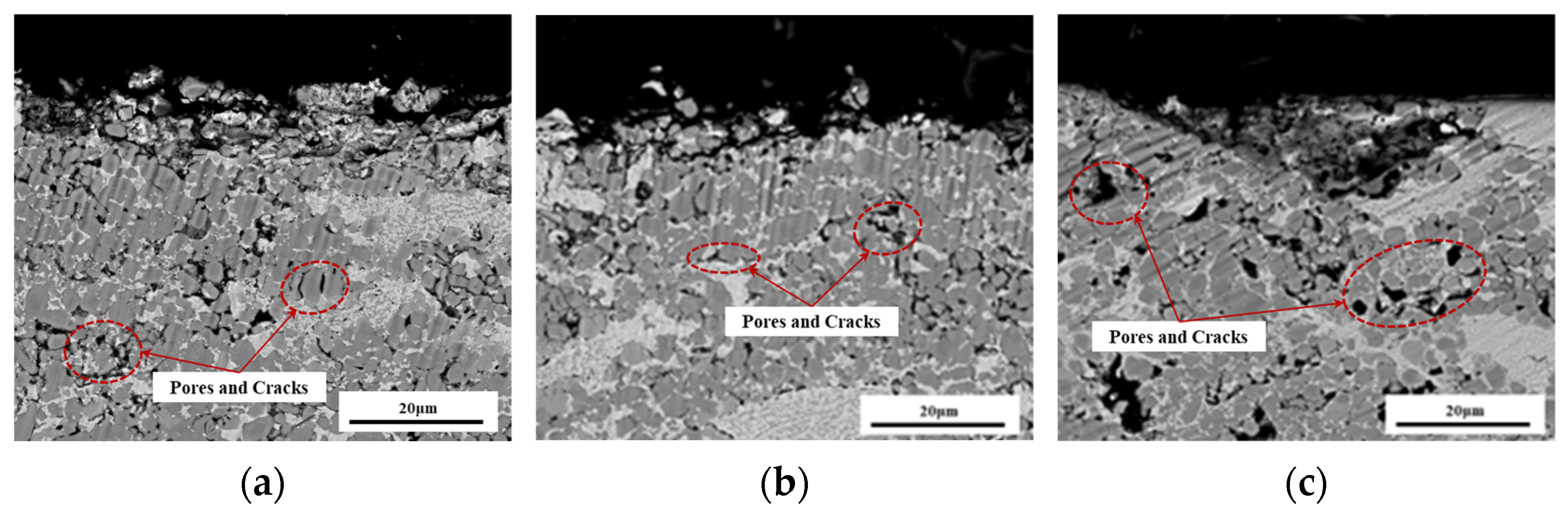 Coatings 15 00294 g007