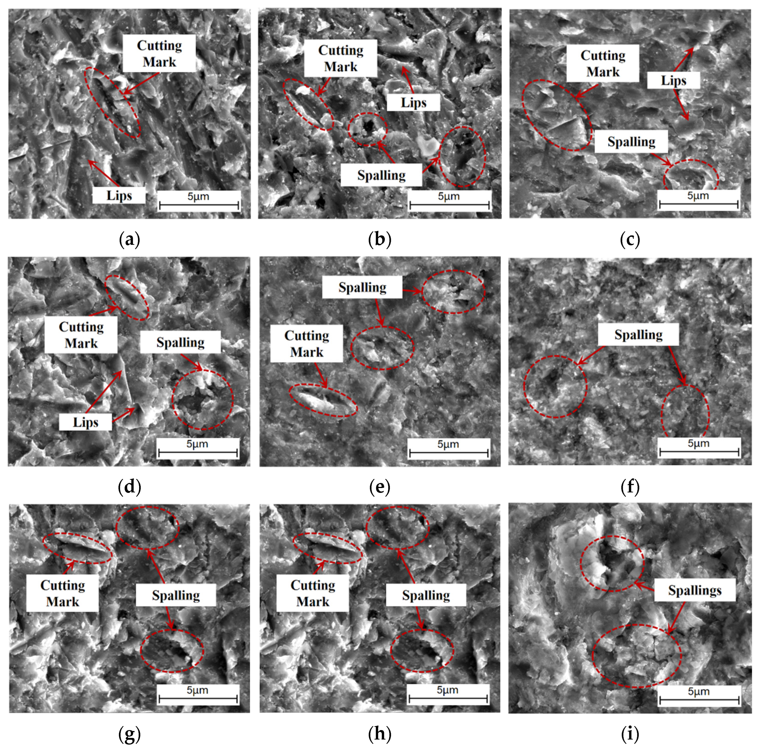 Coatings 15 00294 g013