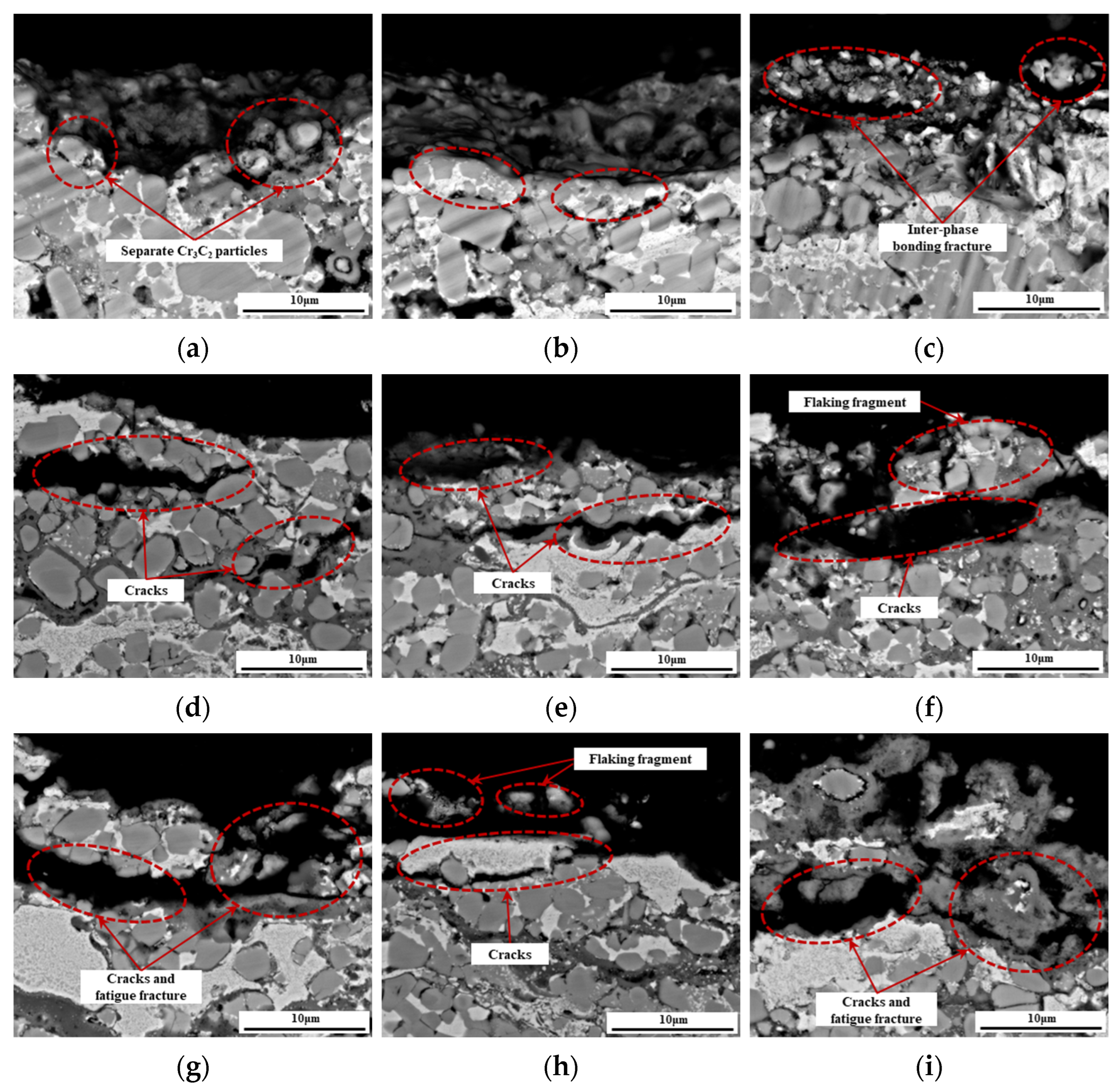 Coatings 15 00294 g014