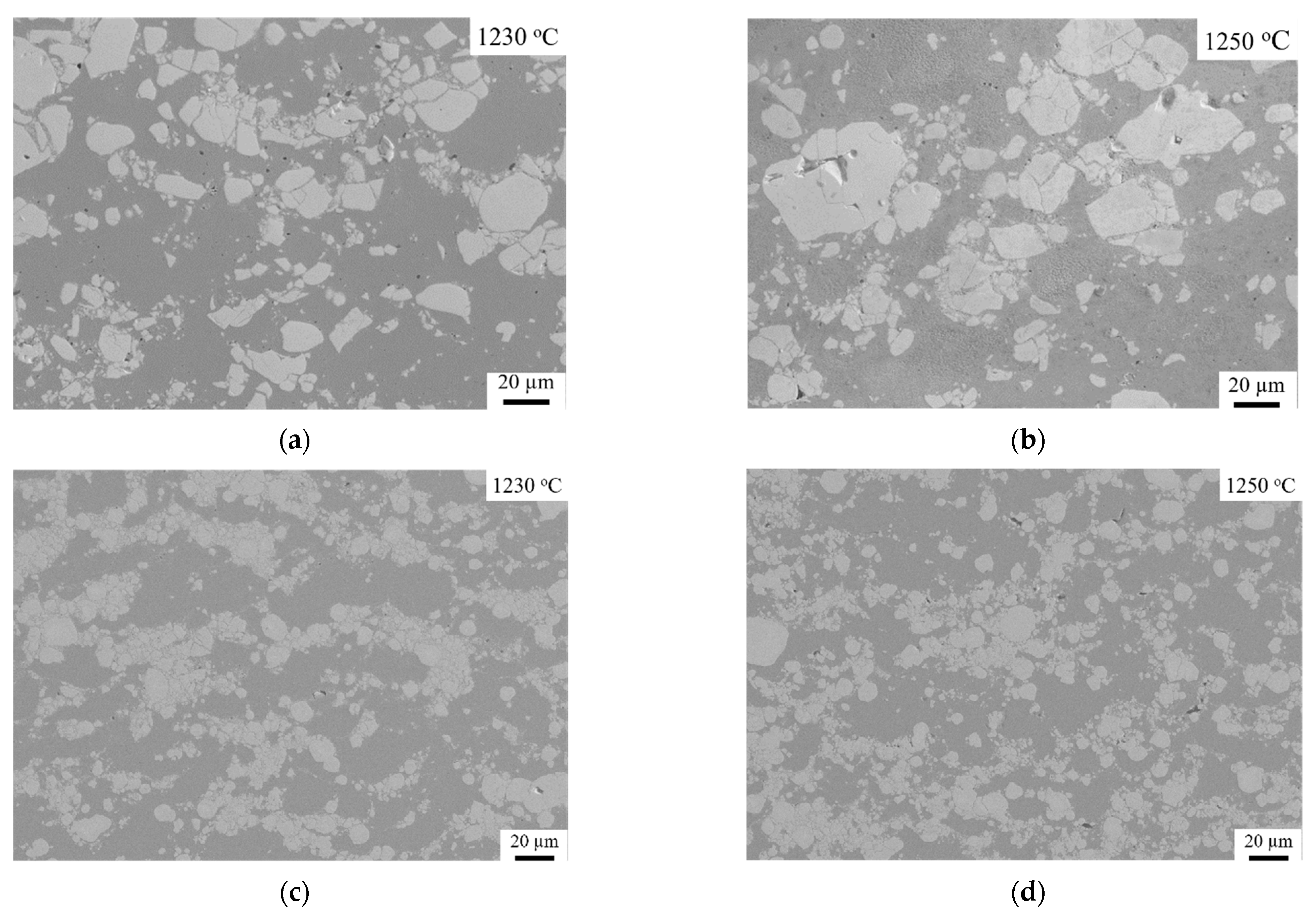 Coatings 15 00295 g007