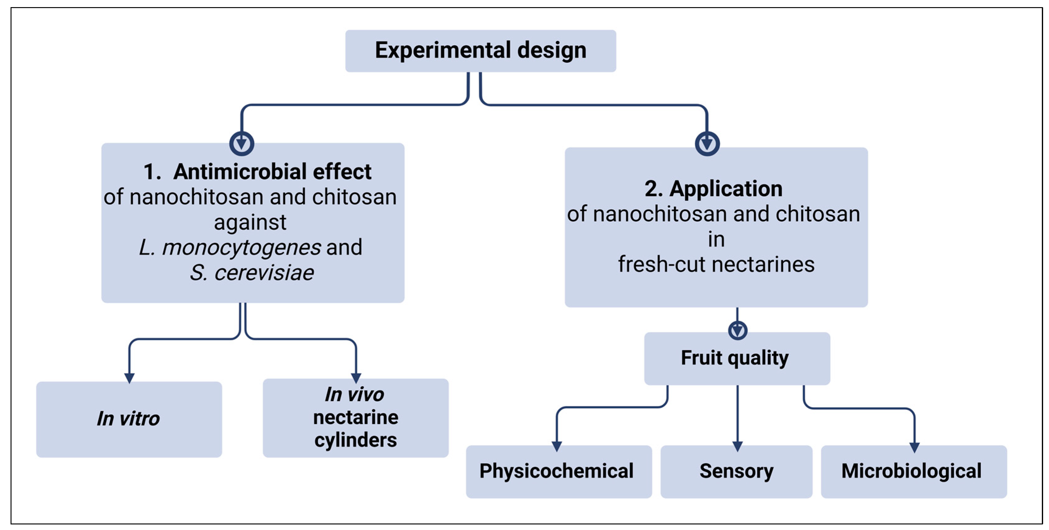 Coatings 15 00296 g001