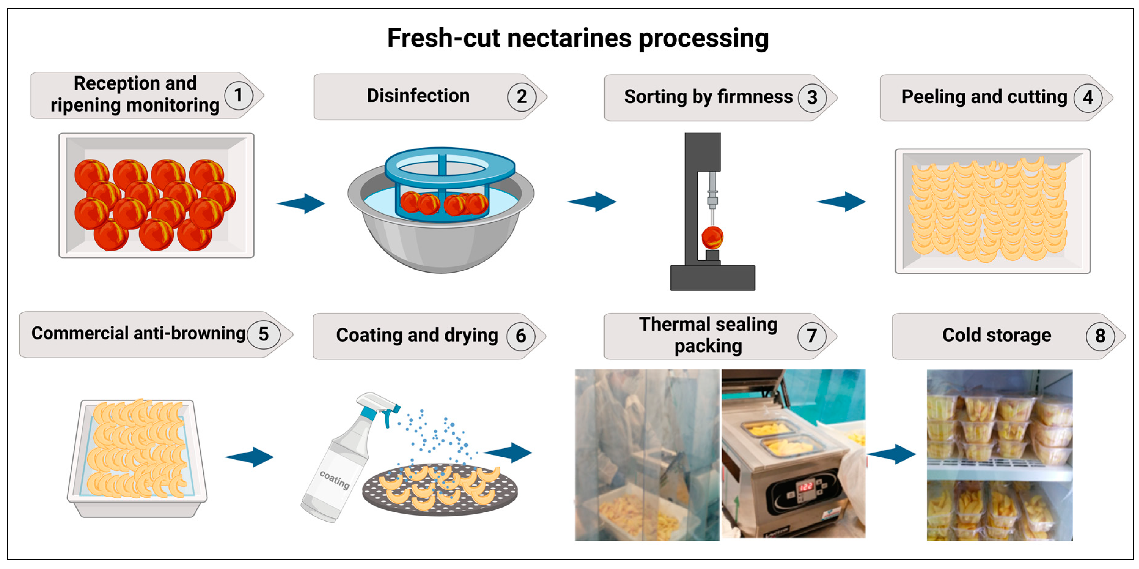 Coatings 15 00296 g002