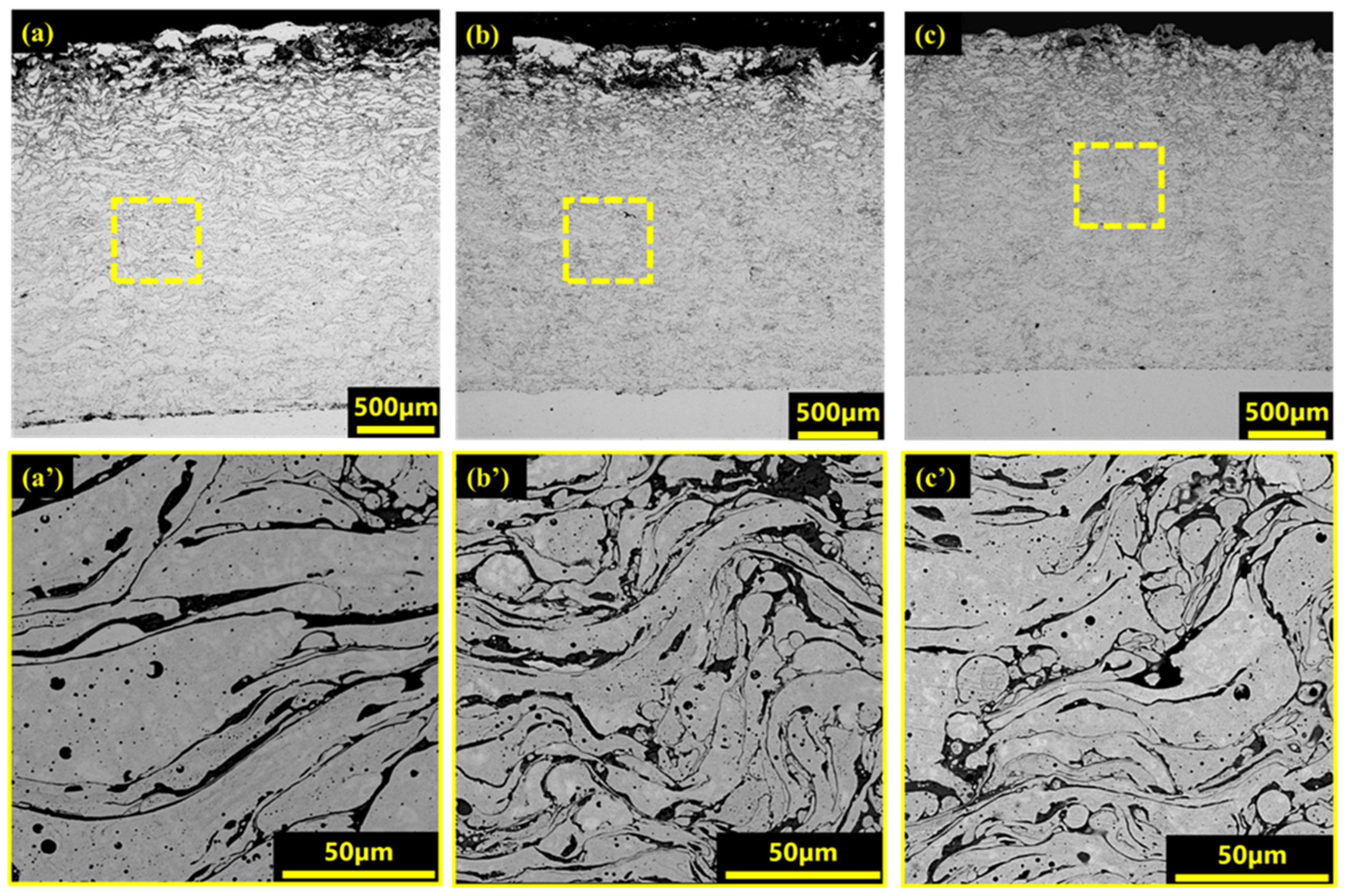Coatings 15 00300 g002