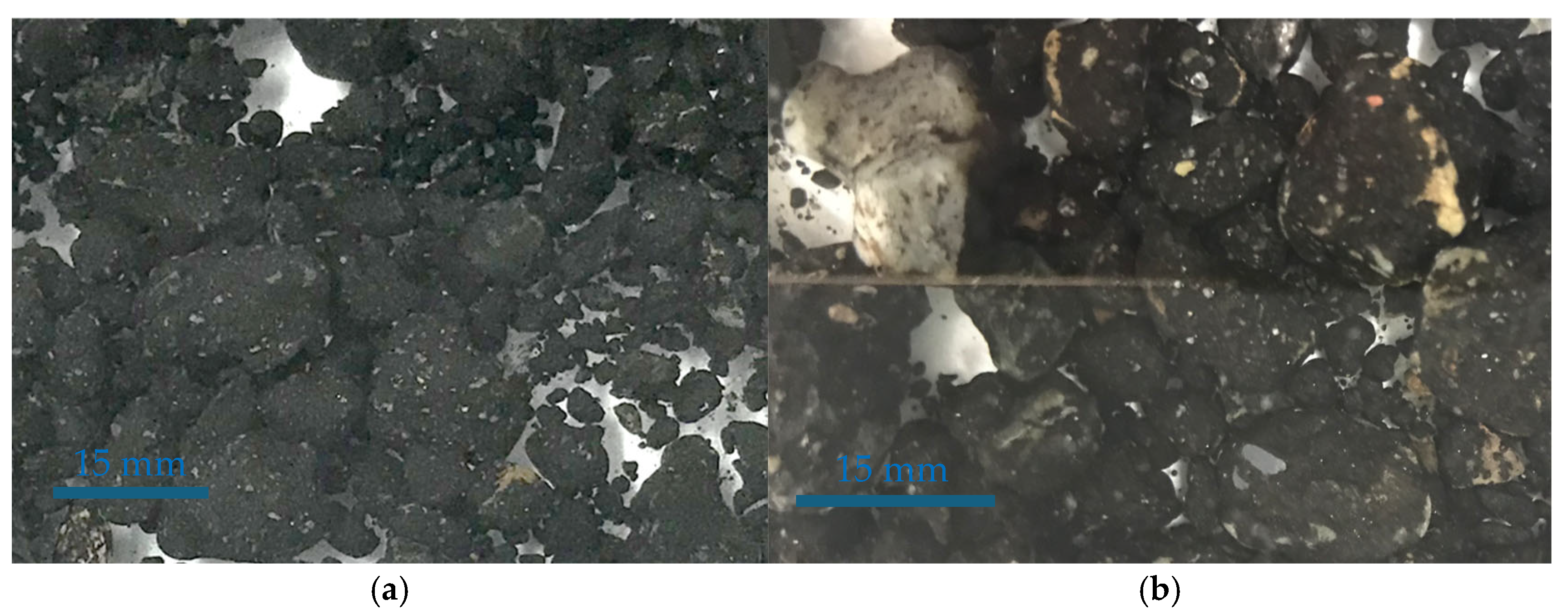 Coatings 15 00304 g006