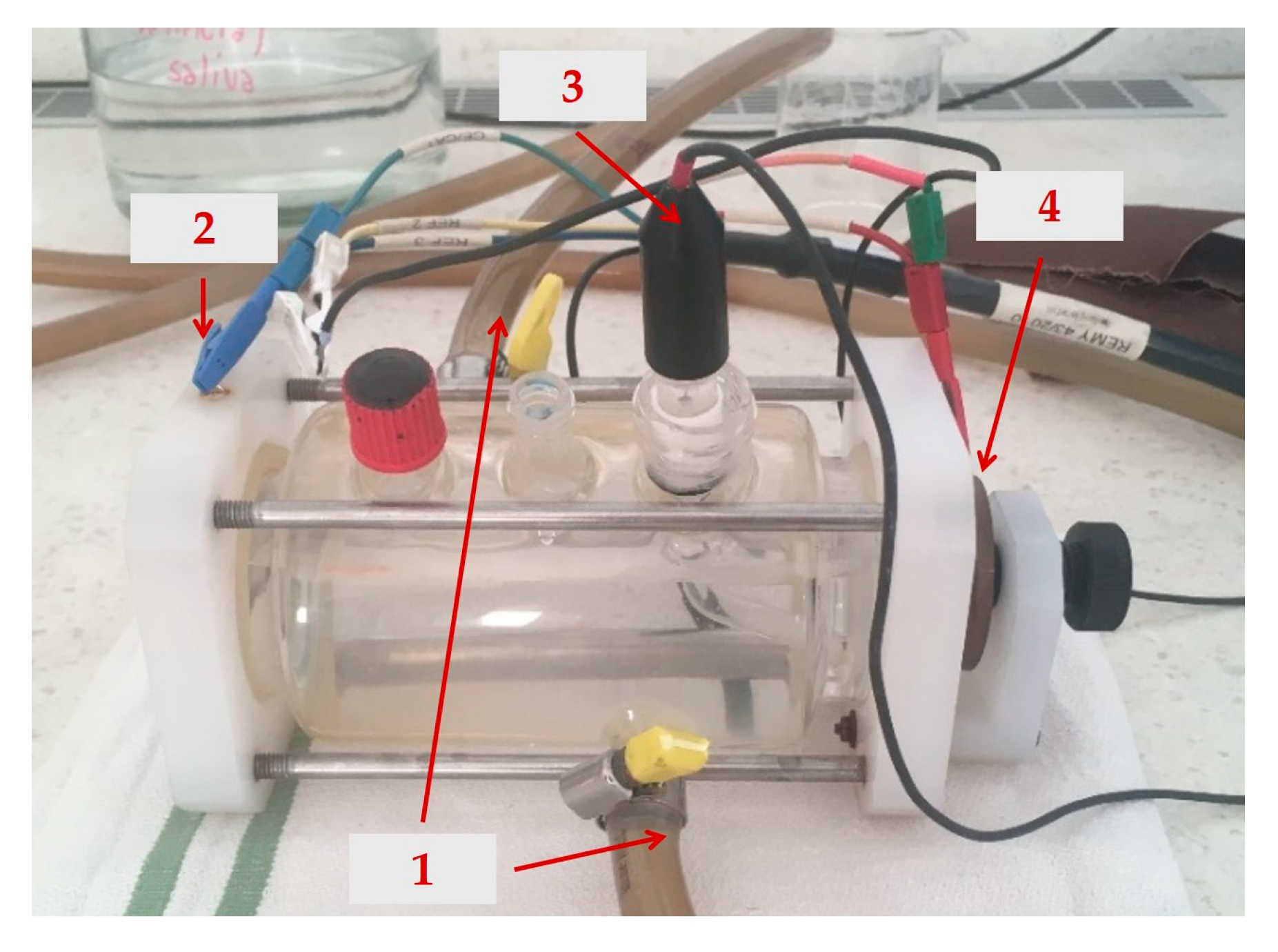 Coatings 15 00305 g001