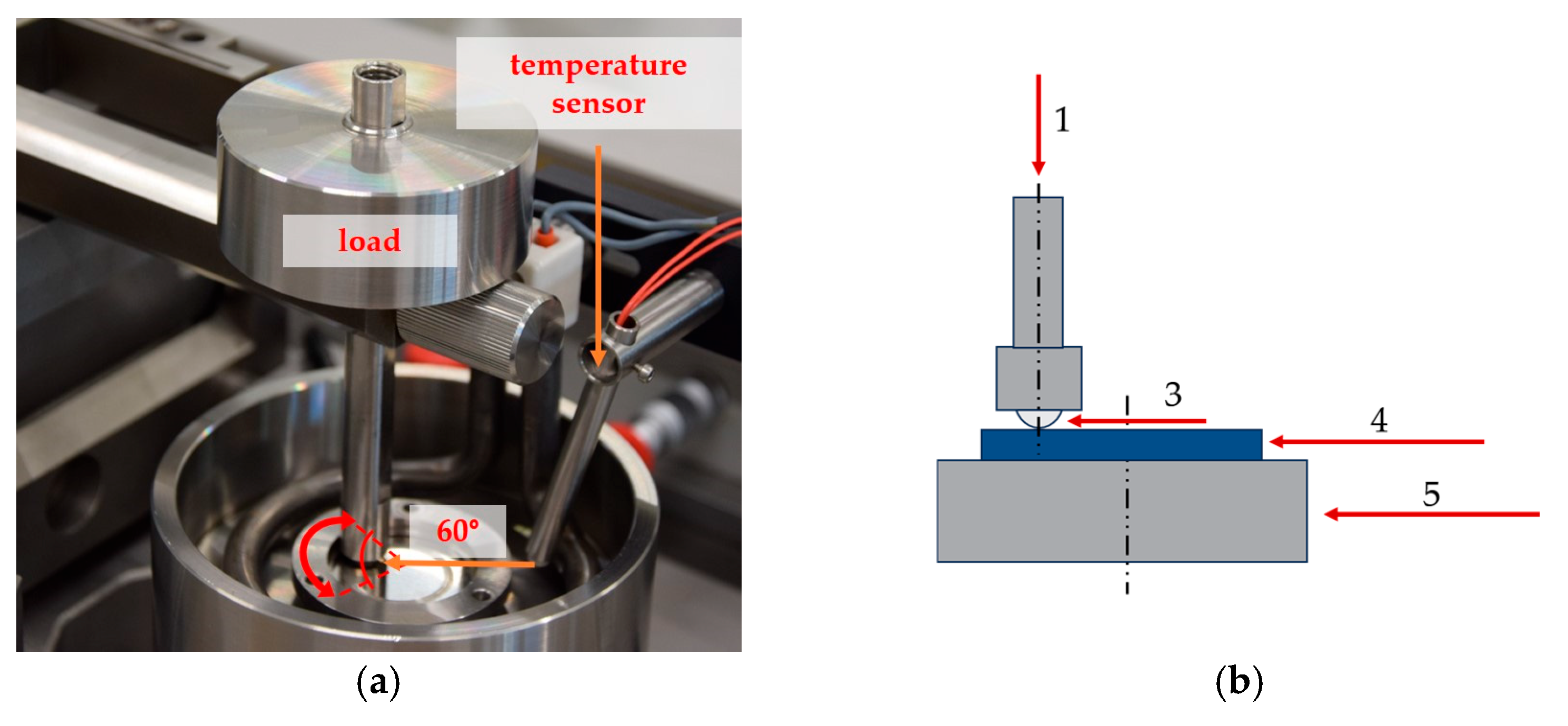 Coatings 15 00305 g002