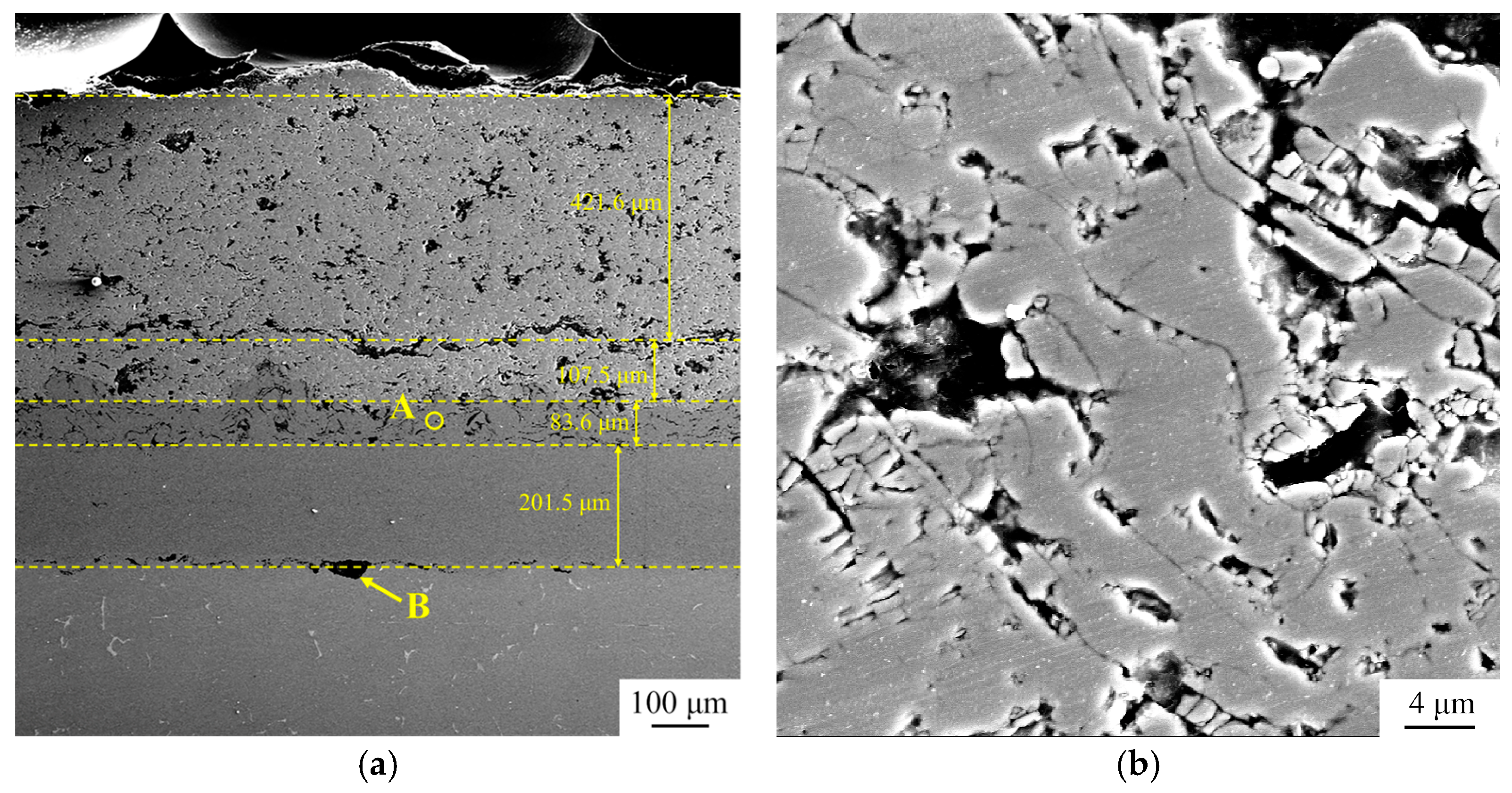 Coatings 15 00307 g004