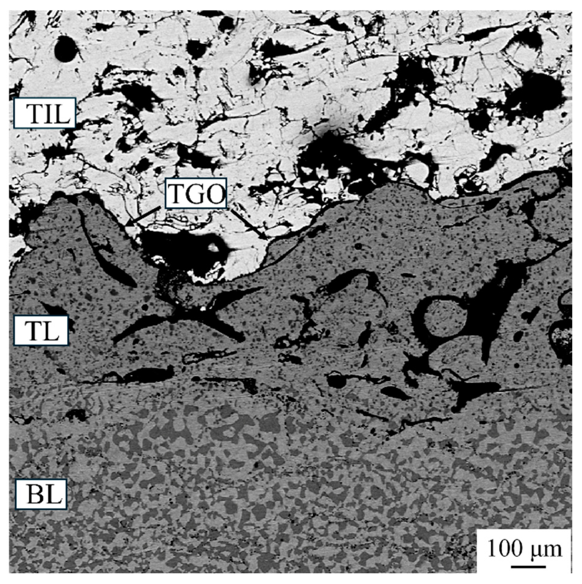 Coatings 15 00307 g005