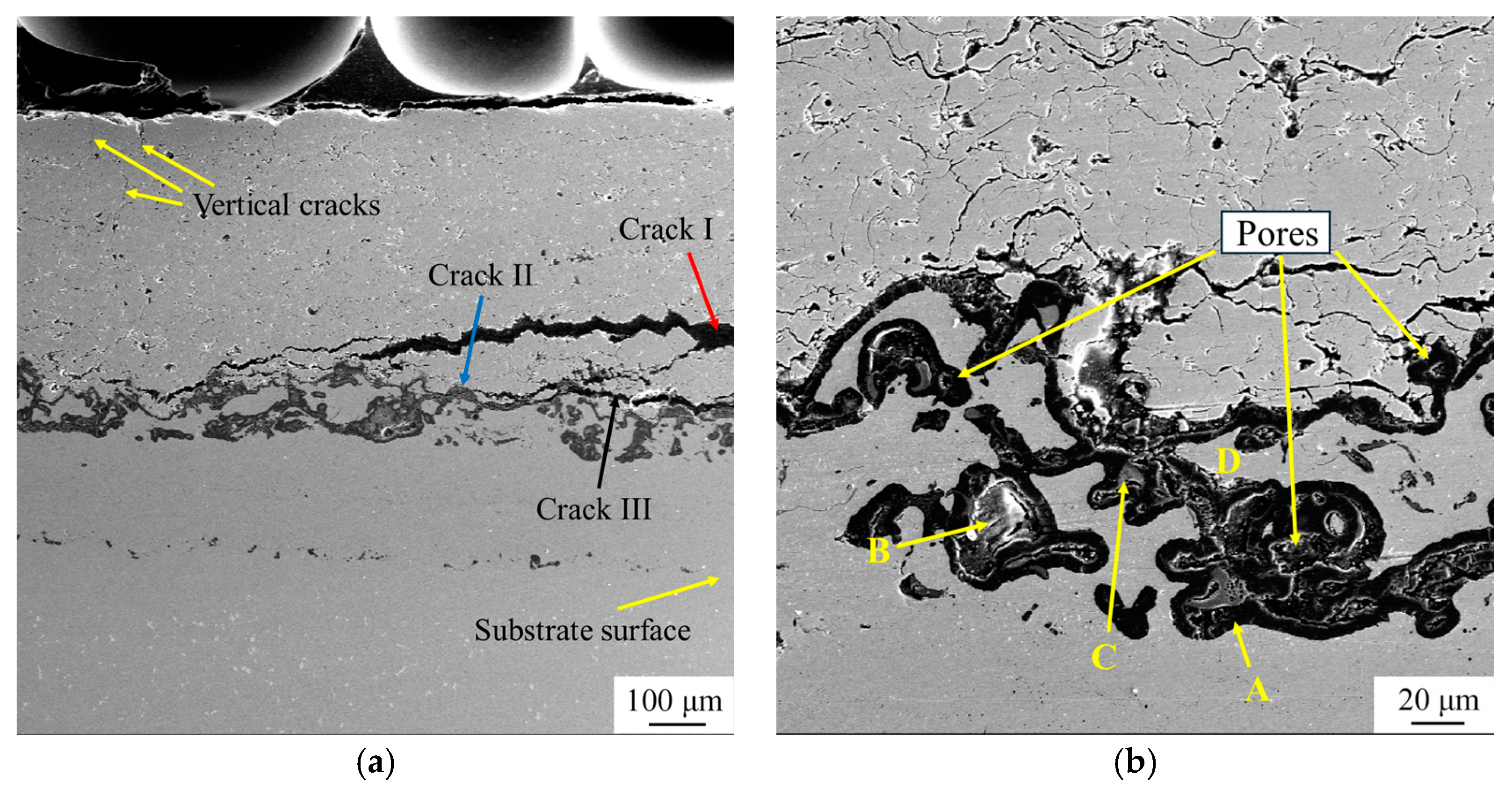Coatings 15 00307 g008