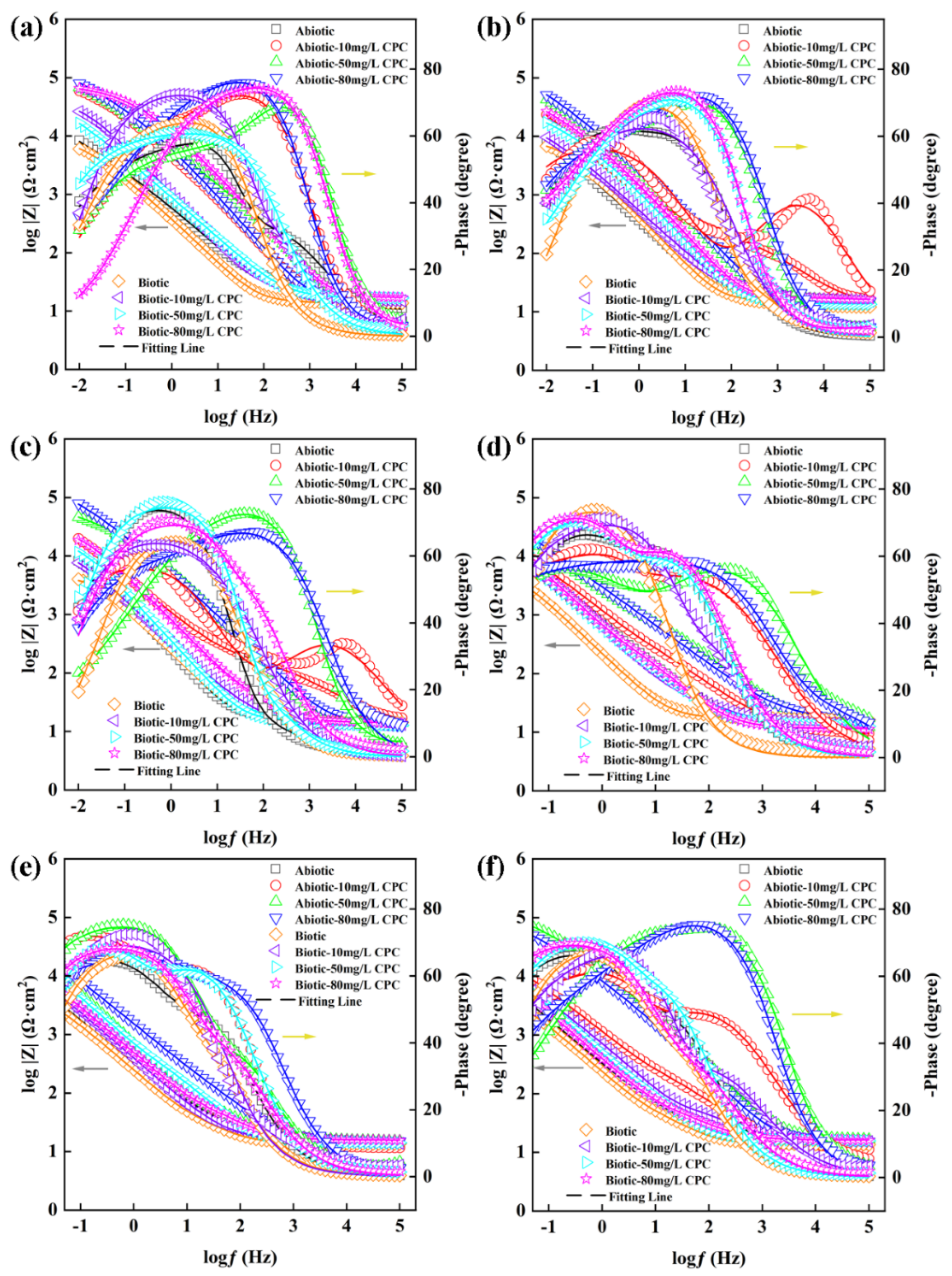 Coatings 15 00308 g005