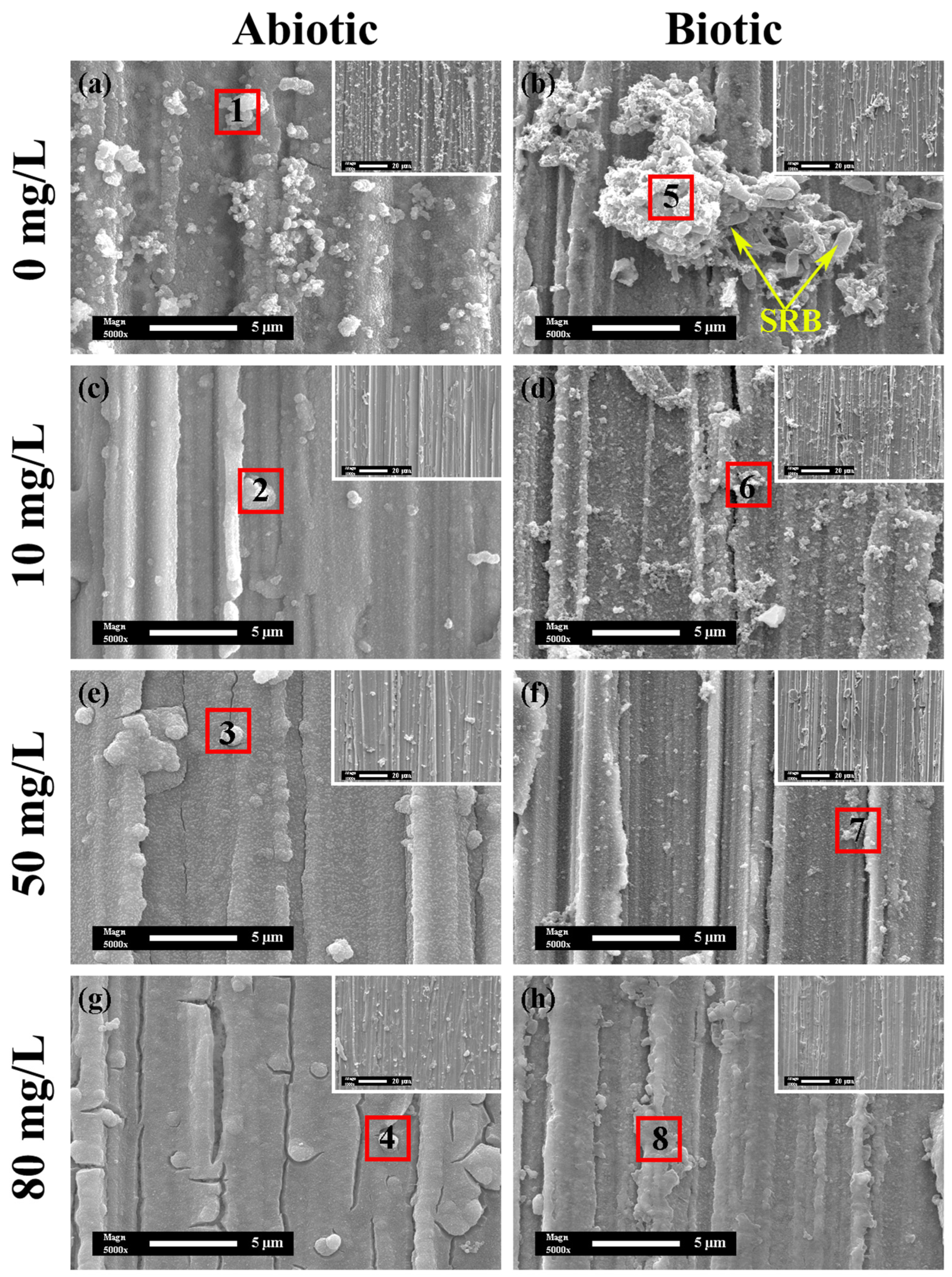 Coatings 15 00308 g008