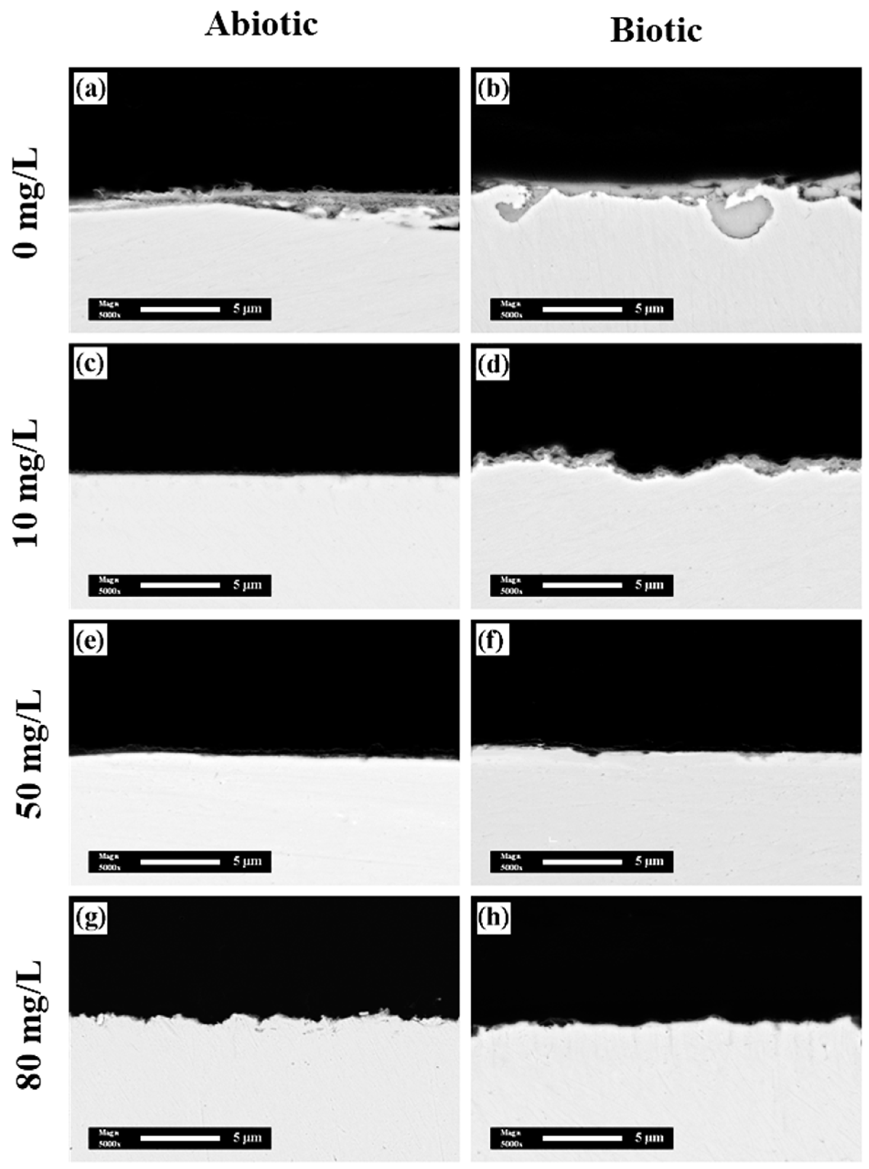 Coatings 15 00308 g009