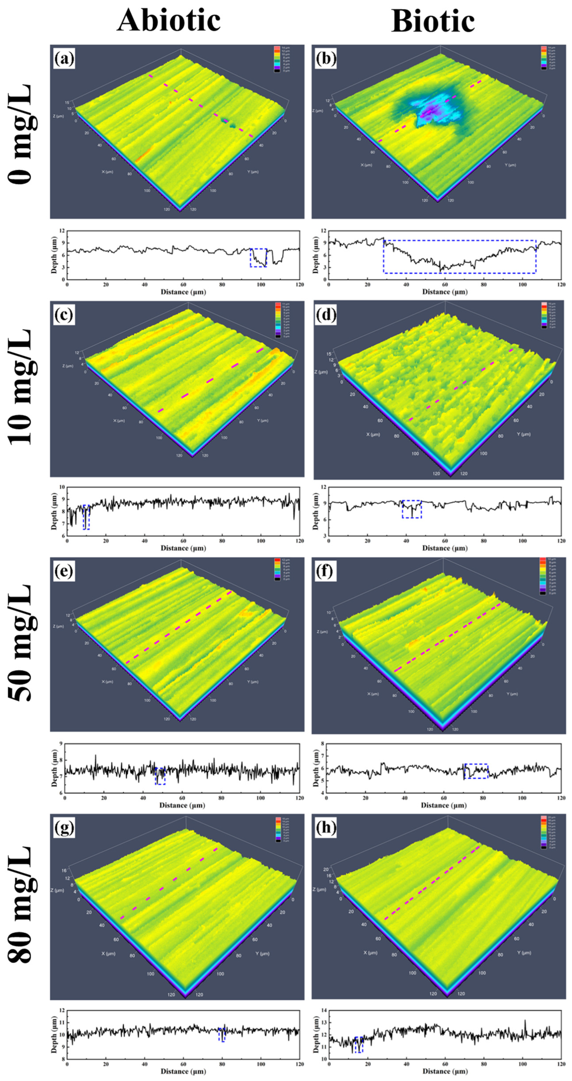 Coatings 15 00308 g011