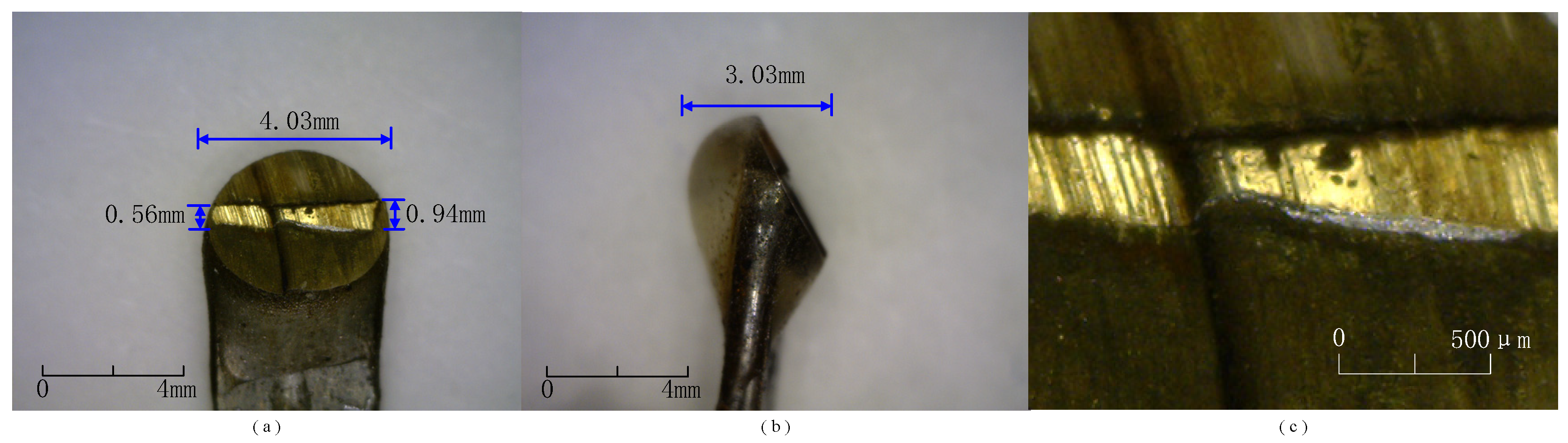 Coatings 15 00309 g008