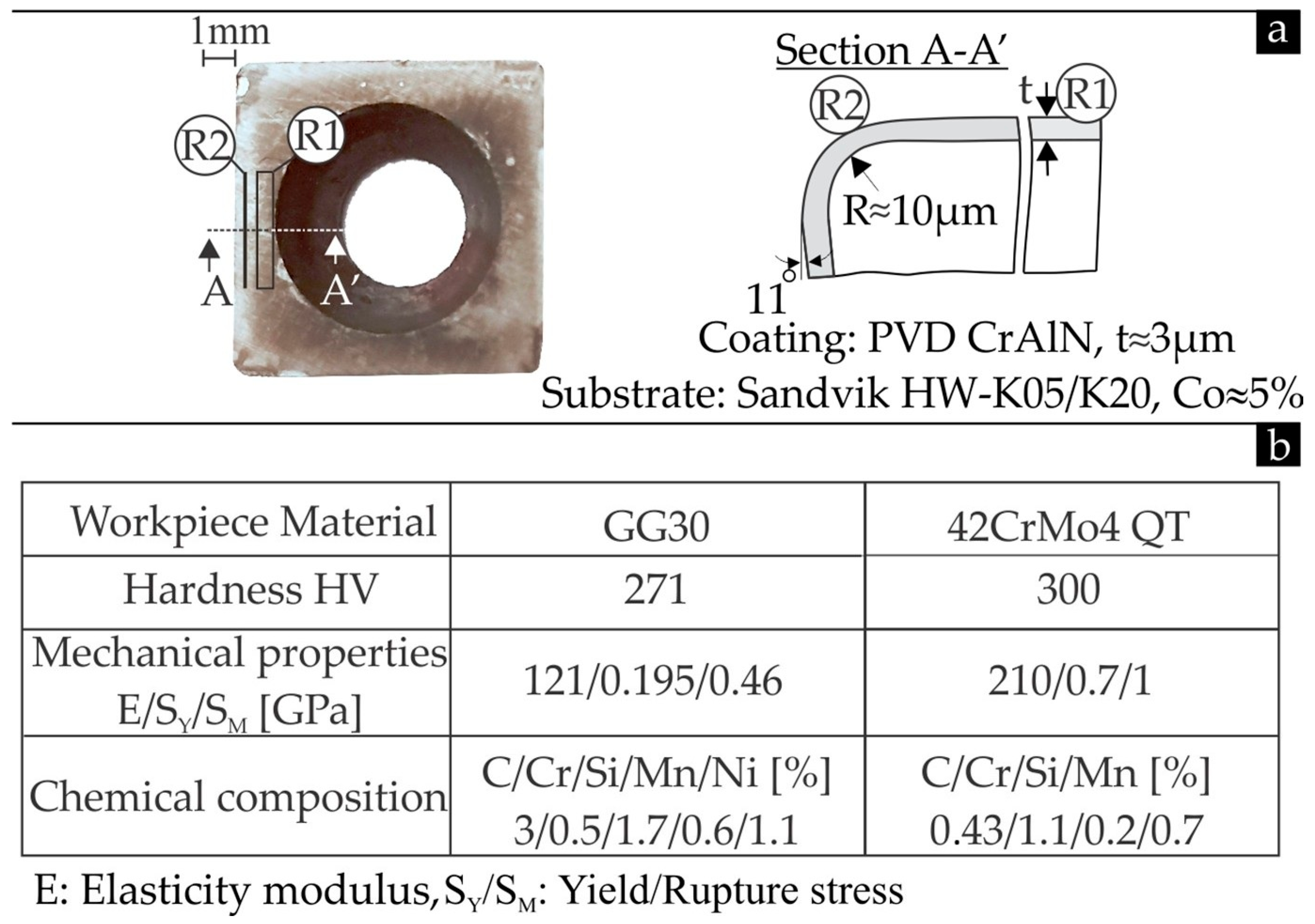 Coatings 15 00311 g001