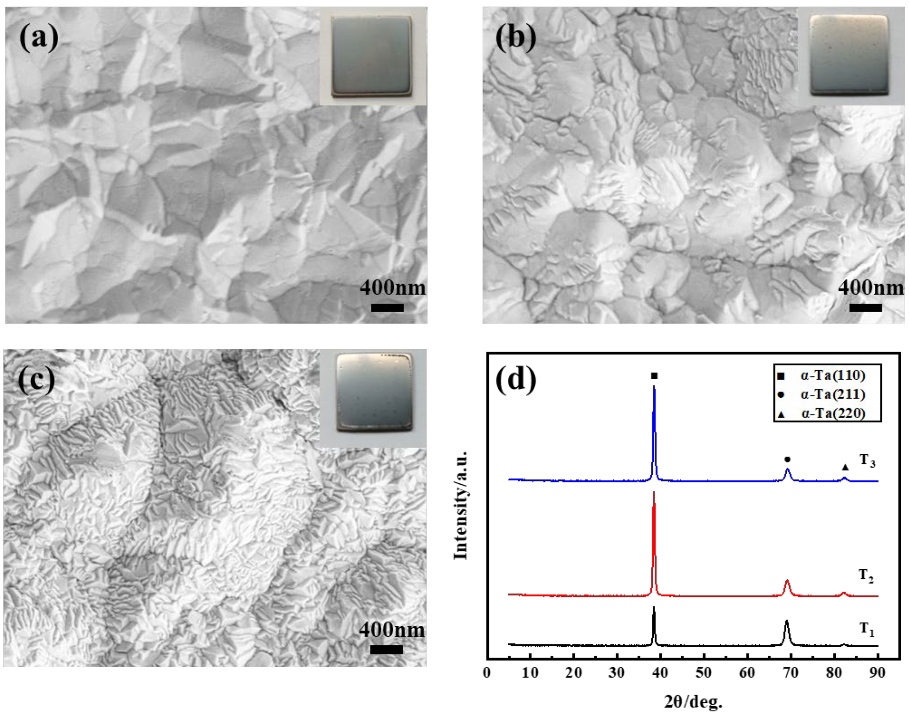 Coatings 15 00313 g003