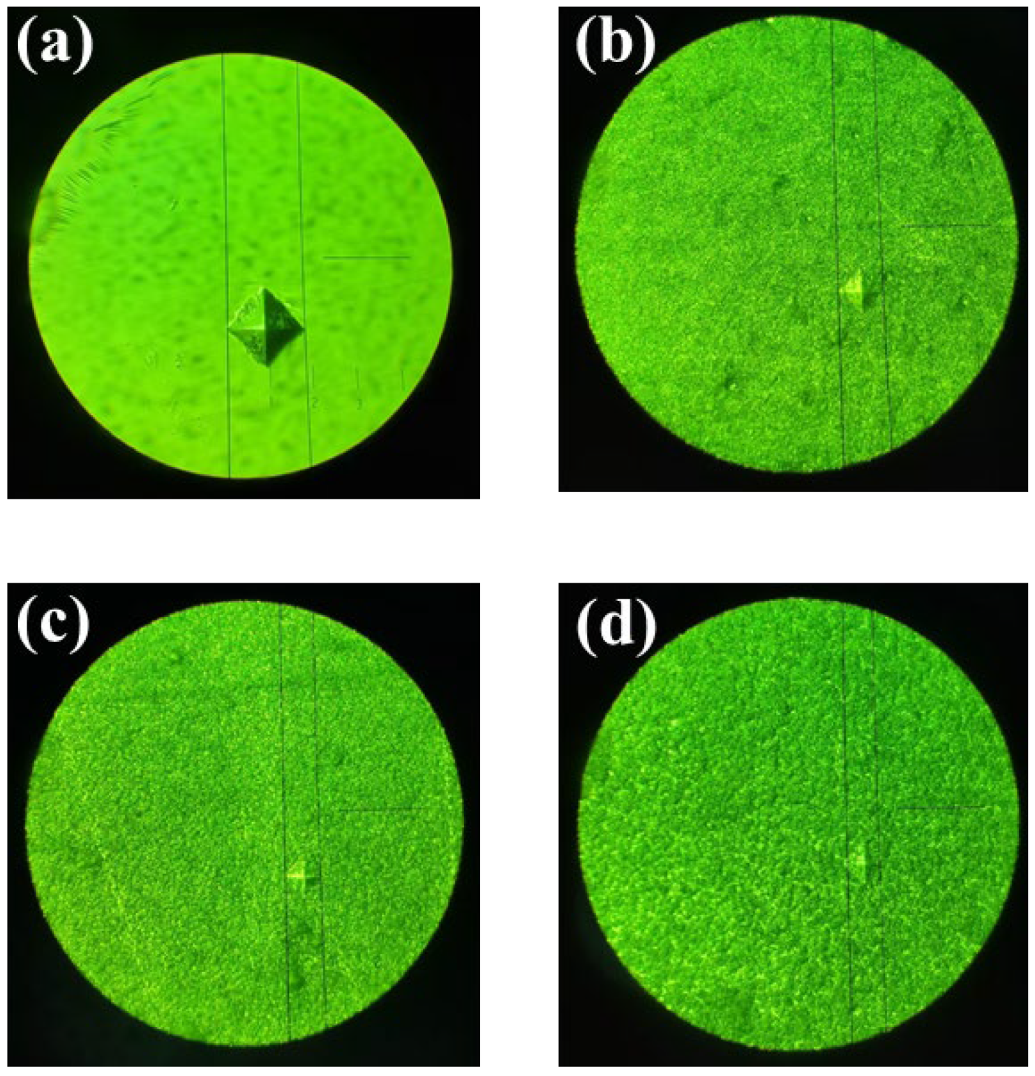 Coatings 15 00313 g007