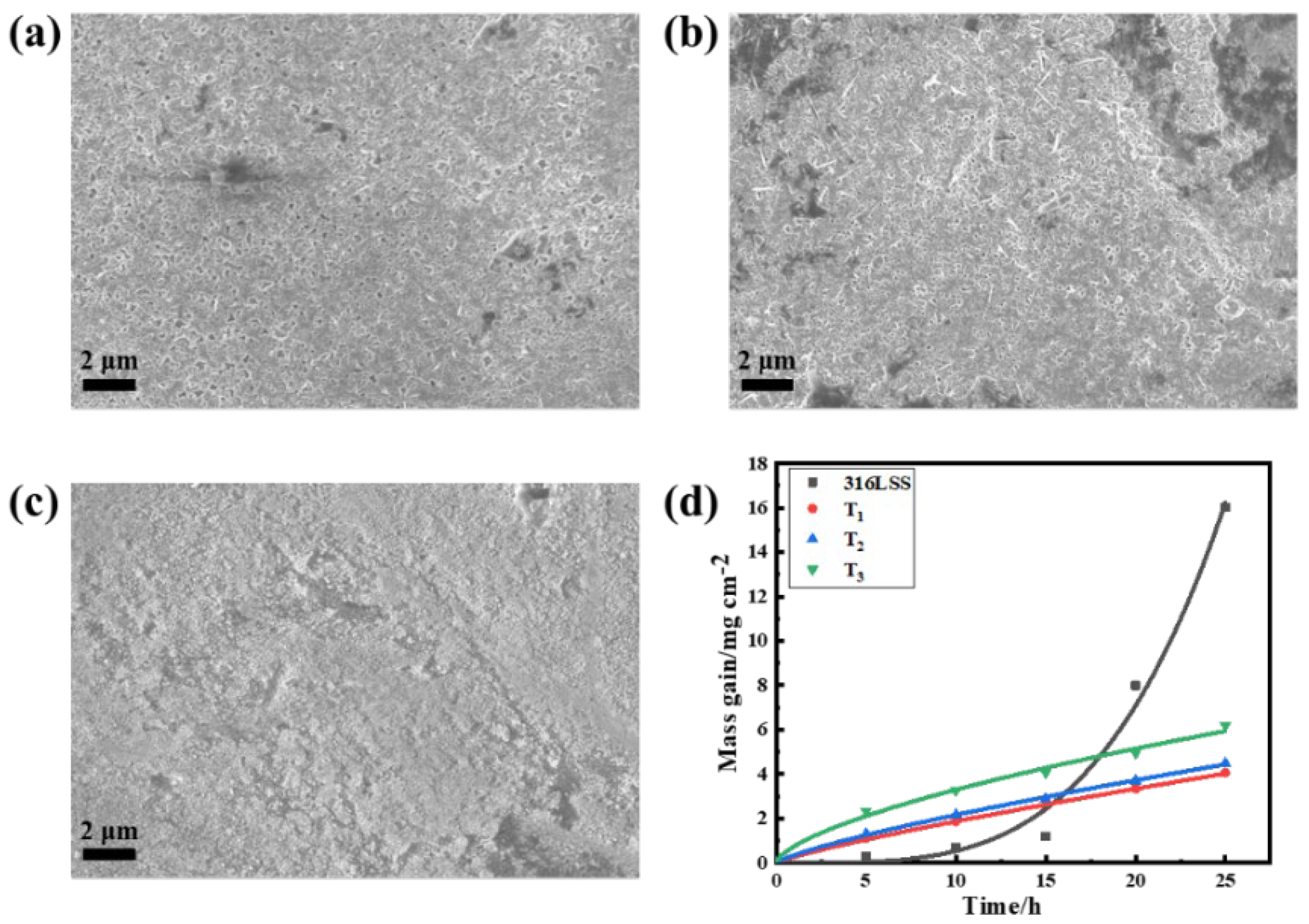 Coatings 15 00313 g012