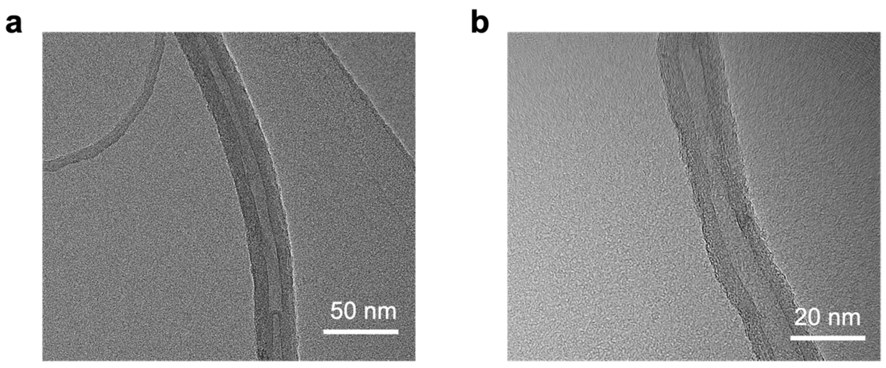 Coatings 15 00314 g002
