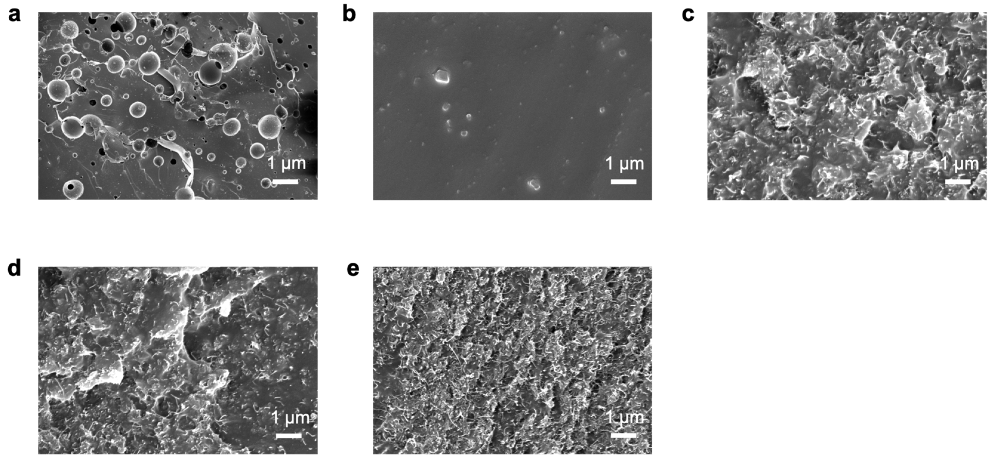 Coatings 15 00314 g004