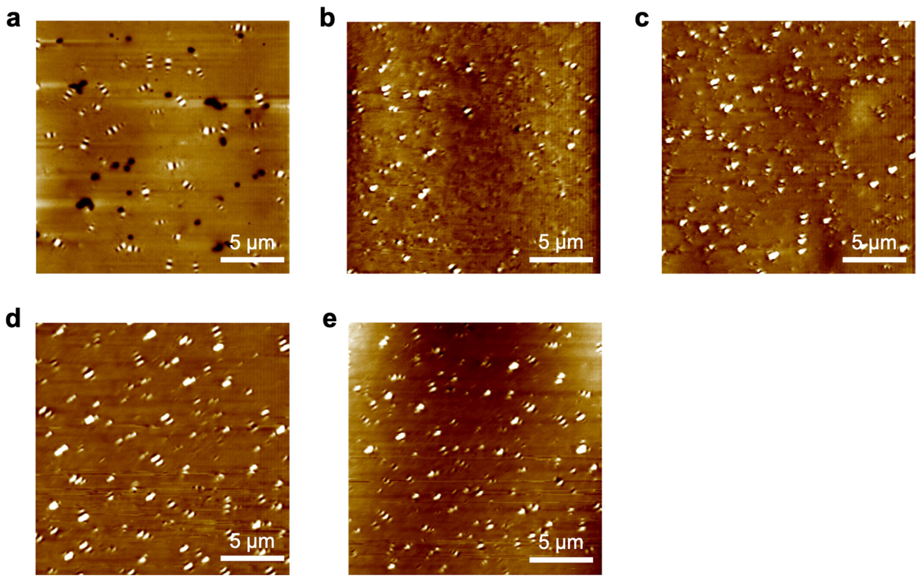 Coatings 15 00314 g005