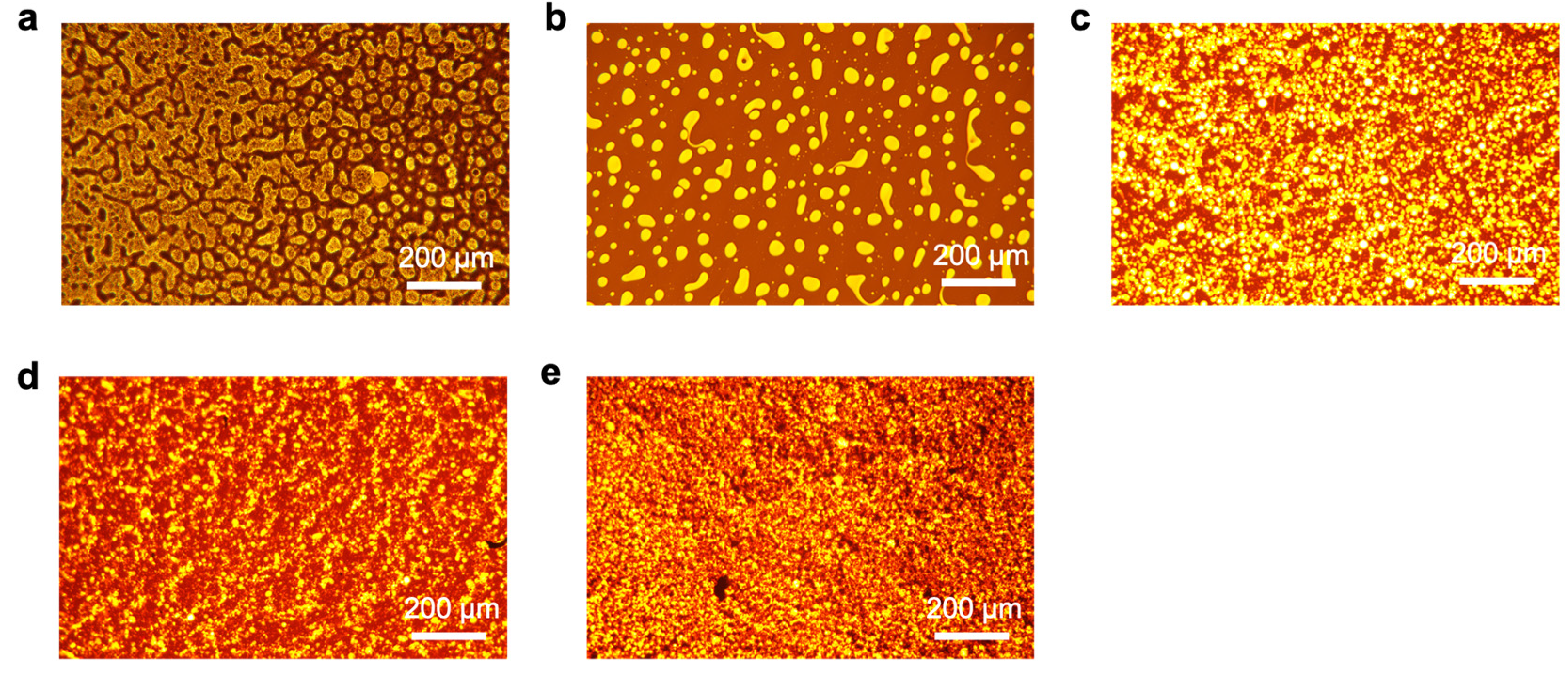 Coatings 15 00314 g006