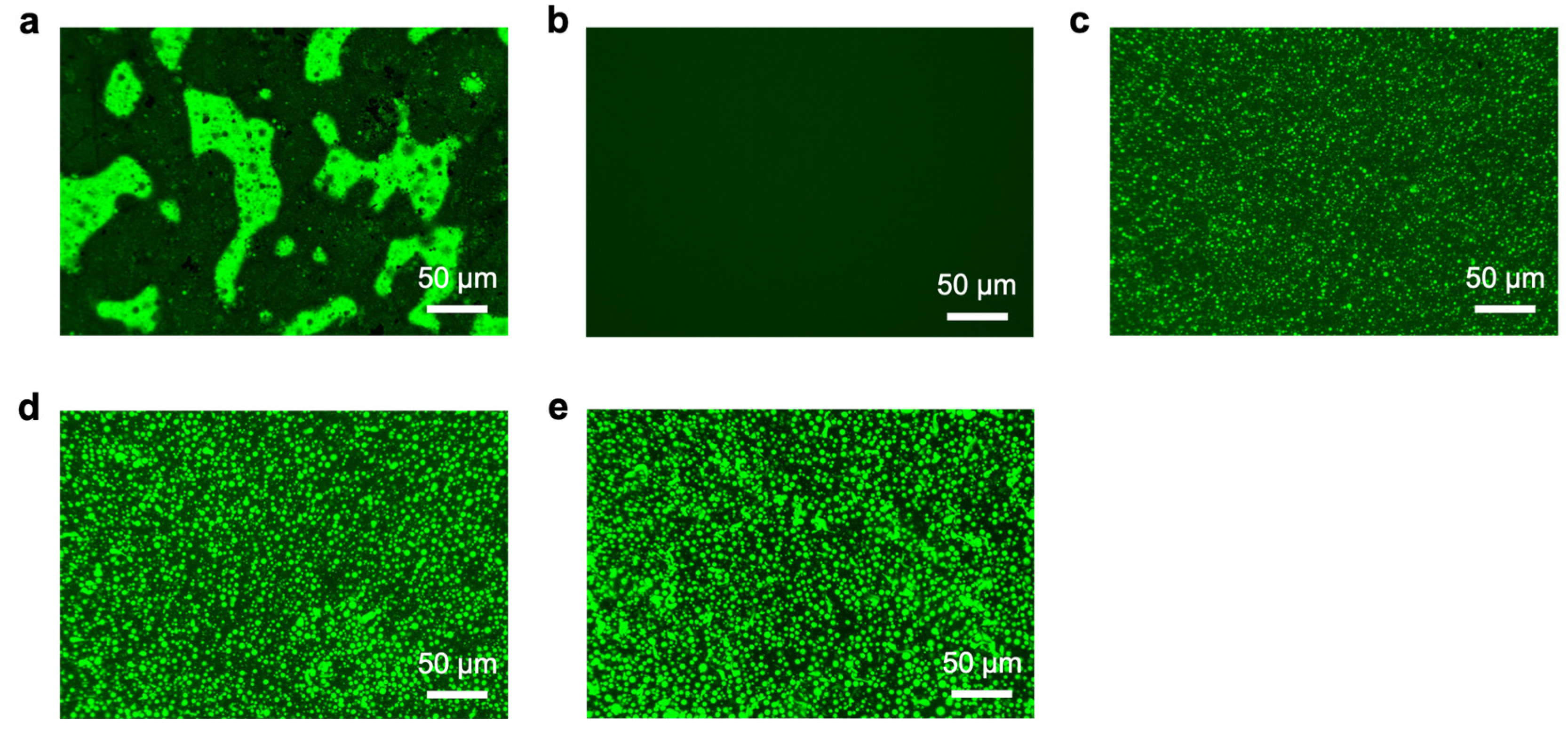 Coatings 15 00314 g007