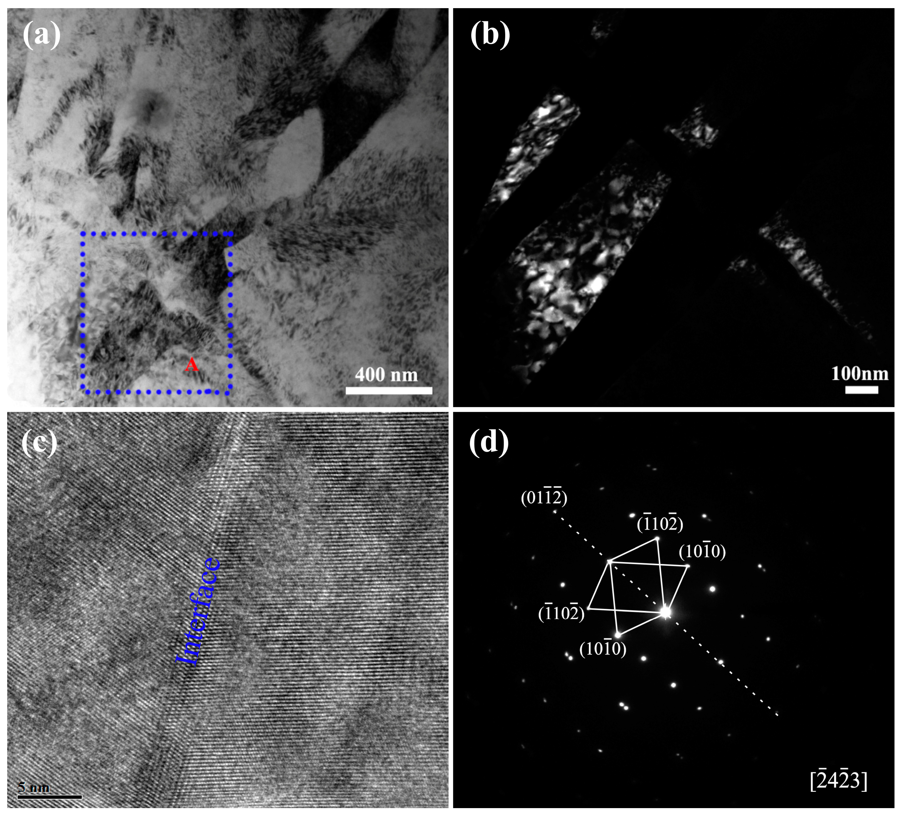 Coatings 15 00316 g011