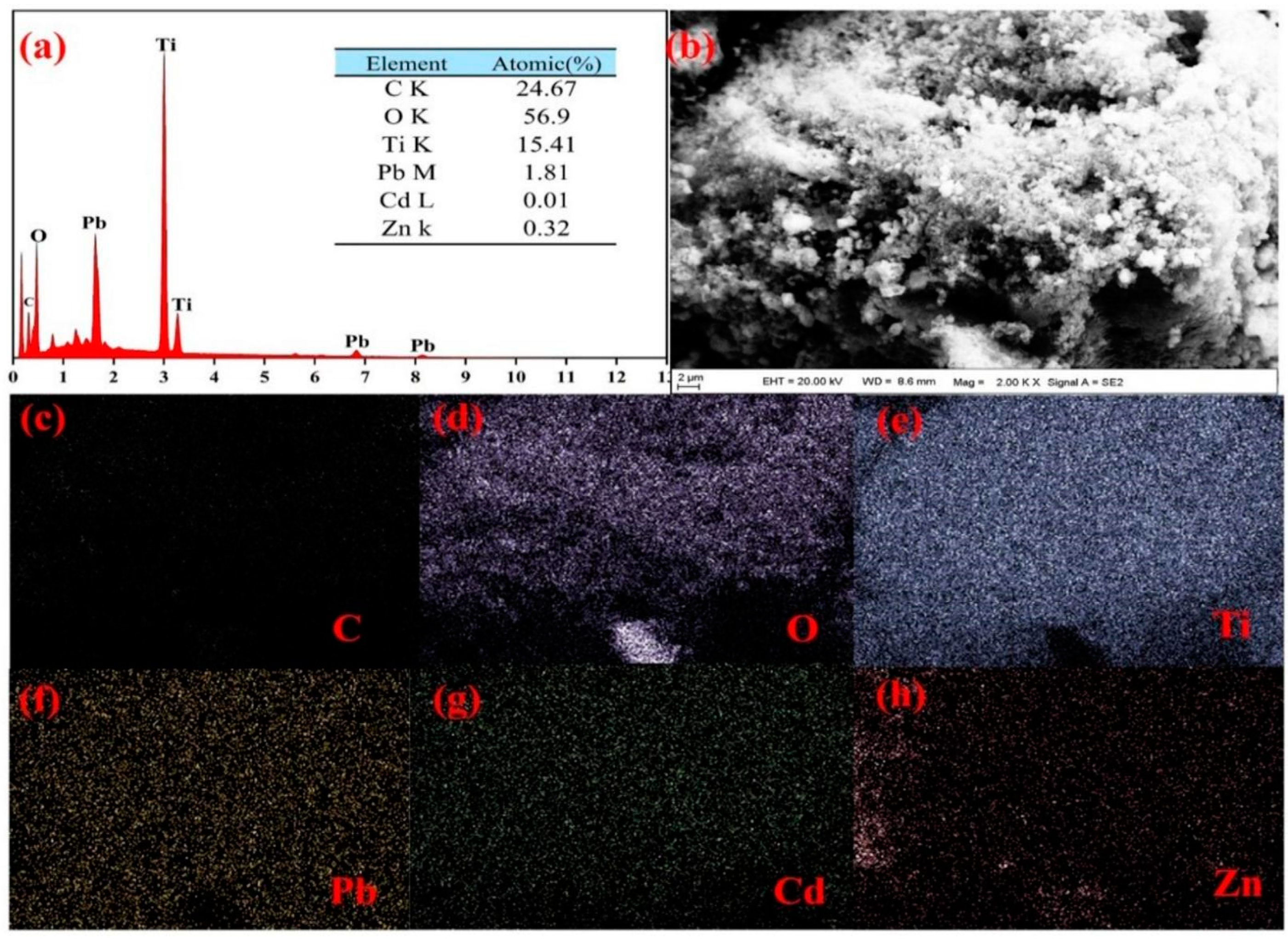 Coatings 15 00317 g002