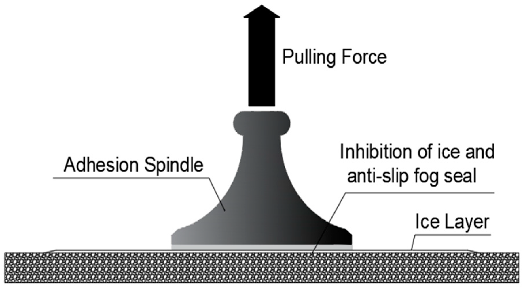 Coatings 15 00318 g002