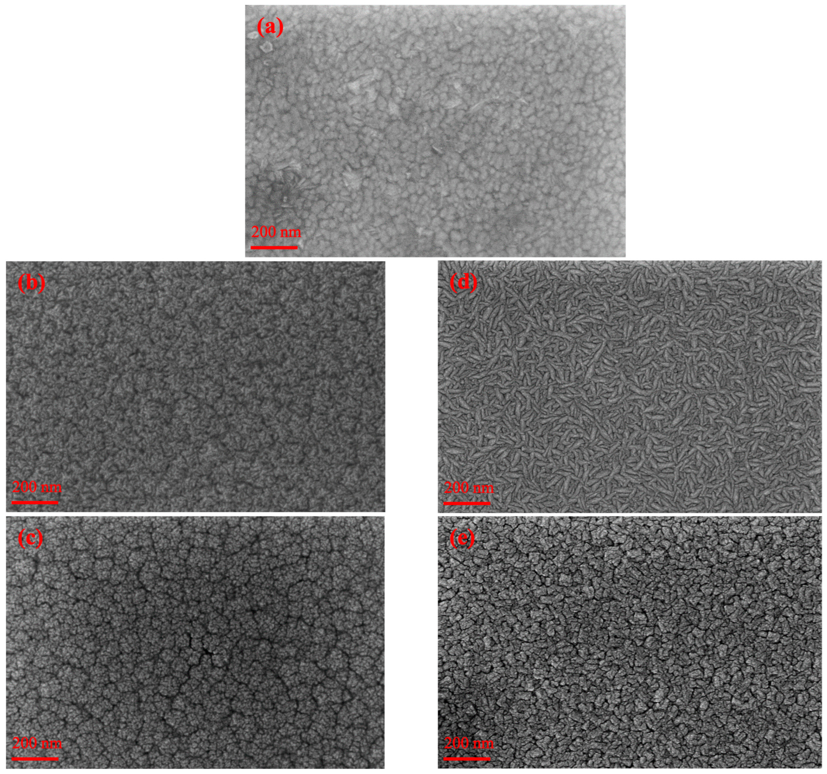 Coatings 15 00319 g007