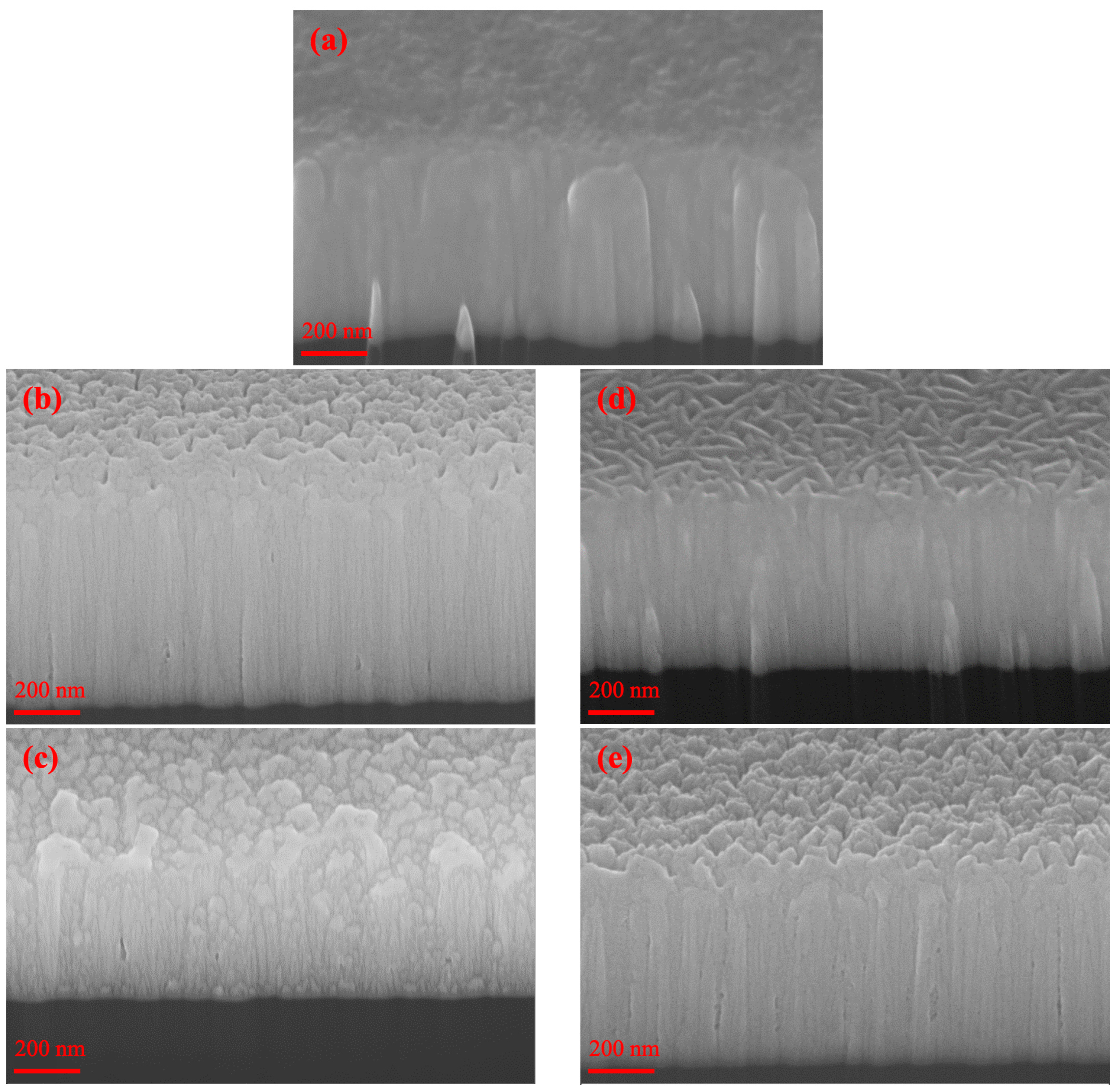 Coatings 15 00319 g008