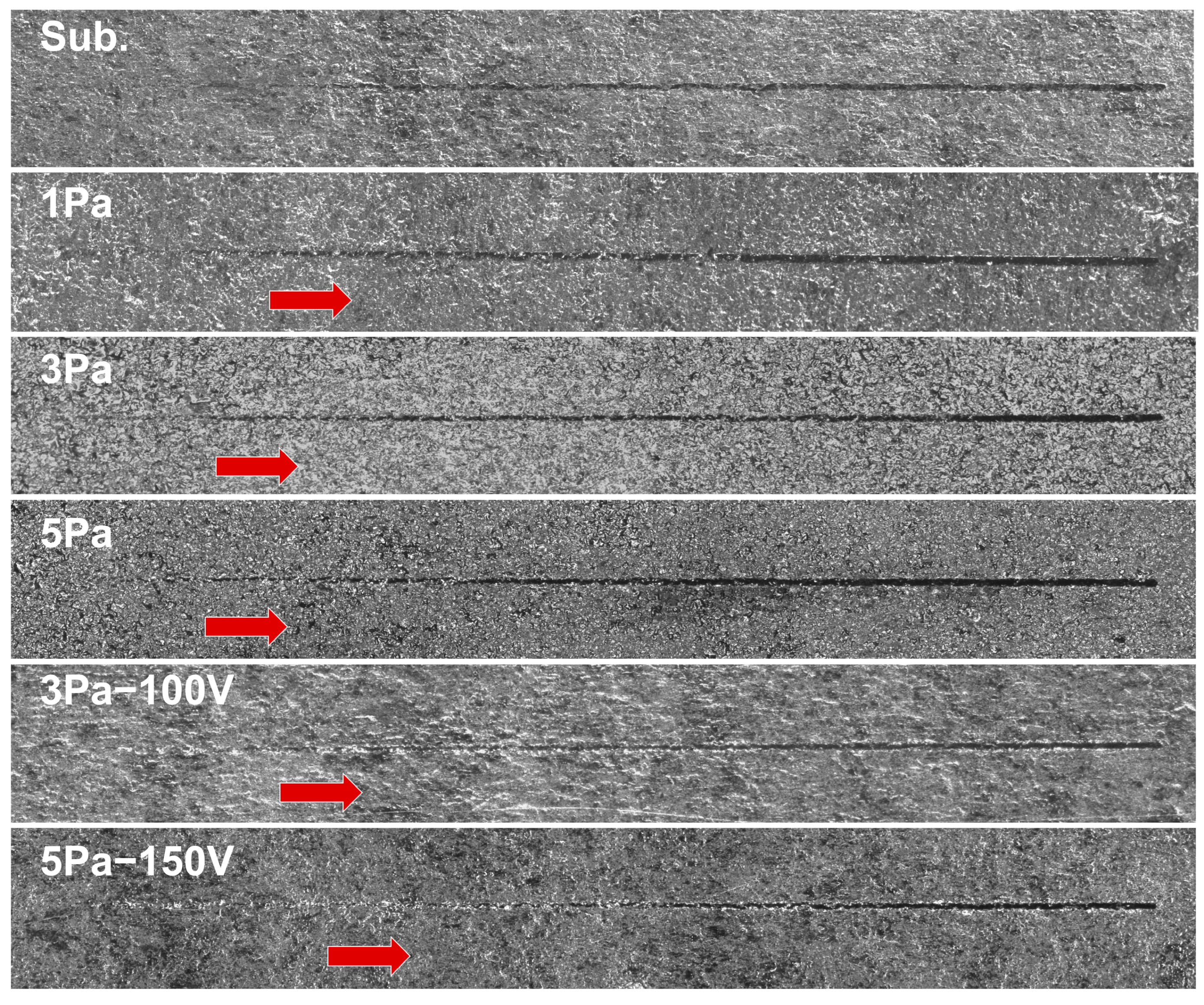 Coatings 15 00319 g014