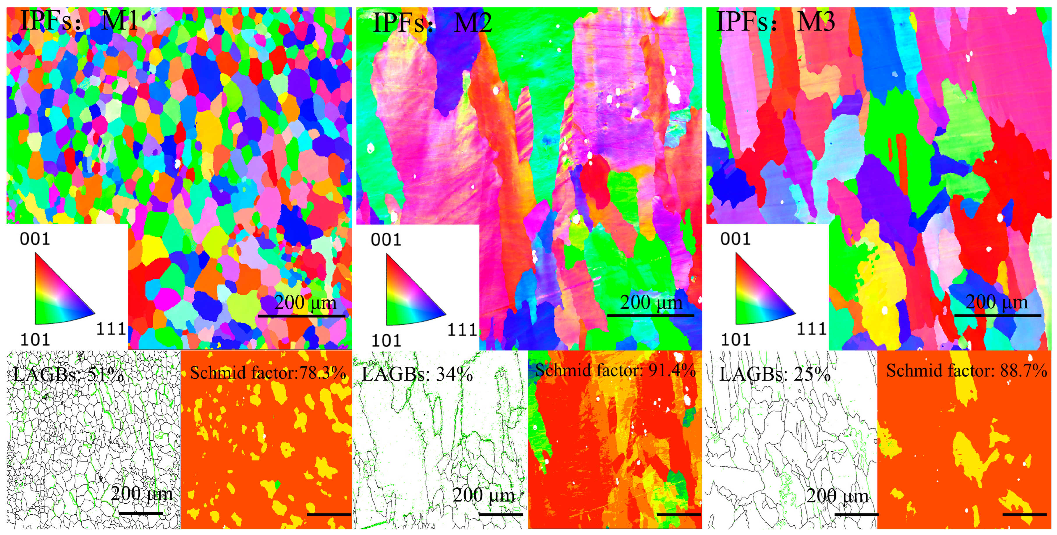 Coatings 15 00320 g005