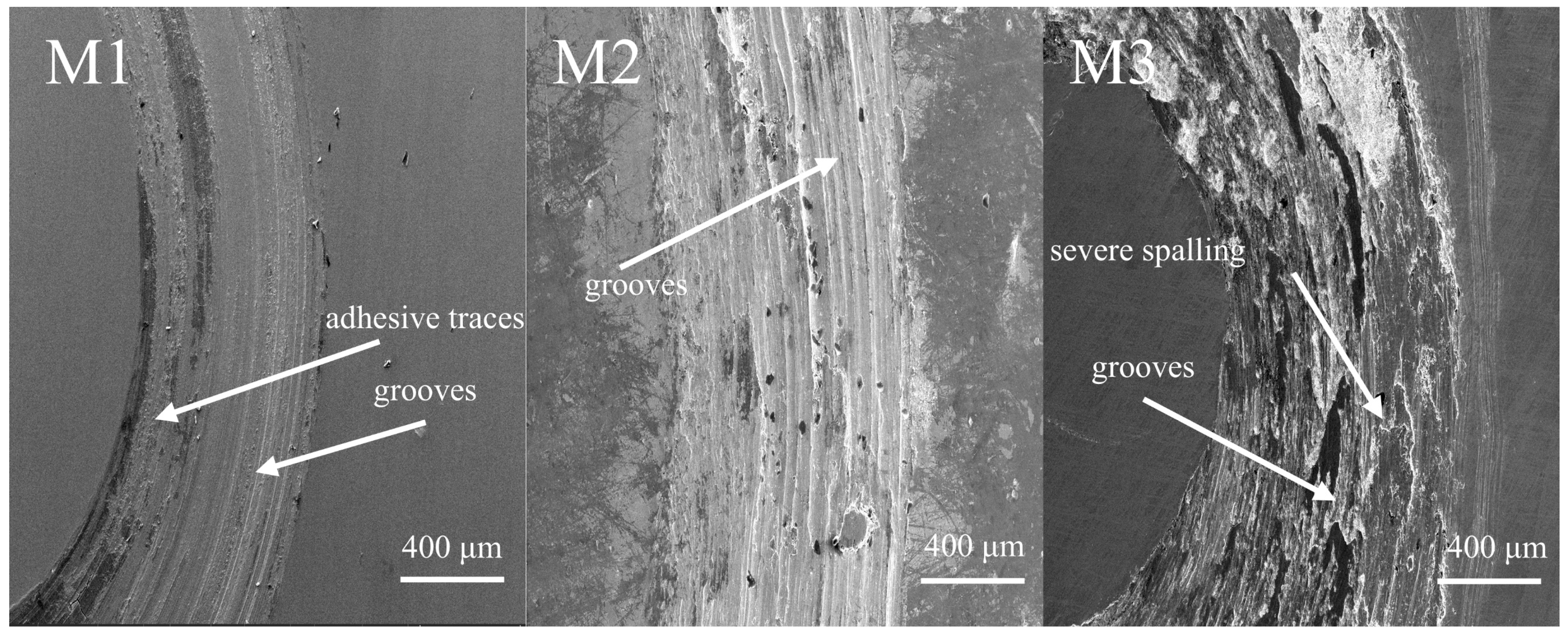 Coatings 15 00320 g008