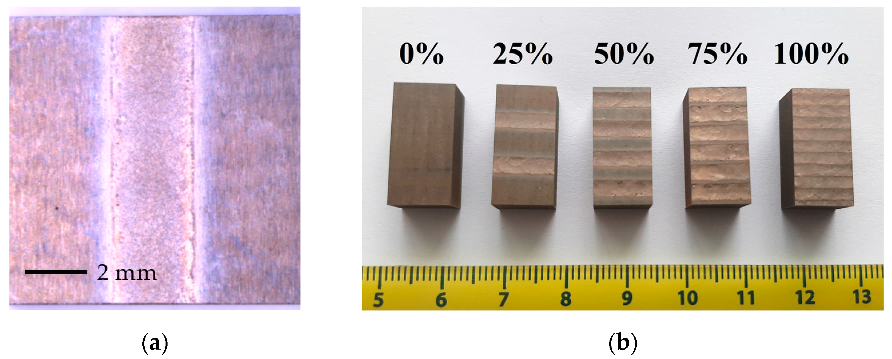 Coatings 15 00323 g002 Coatings 15 00323 g002