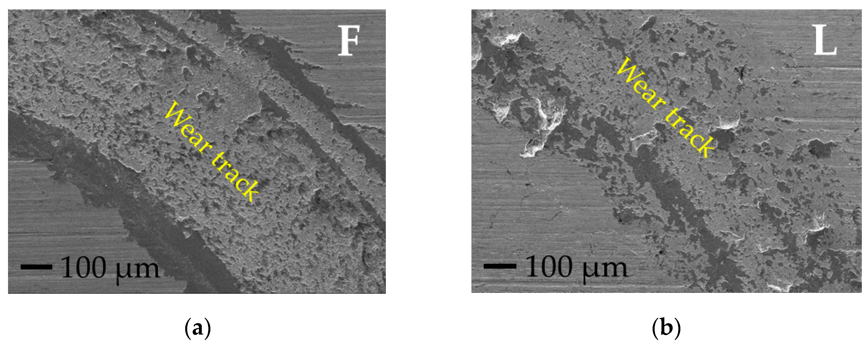 Coatings 15 00323 g006a Coatings 15 00323 g006a